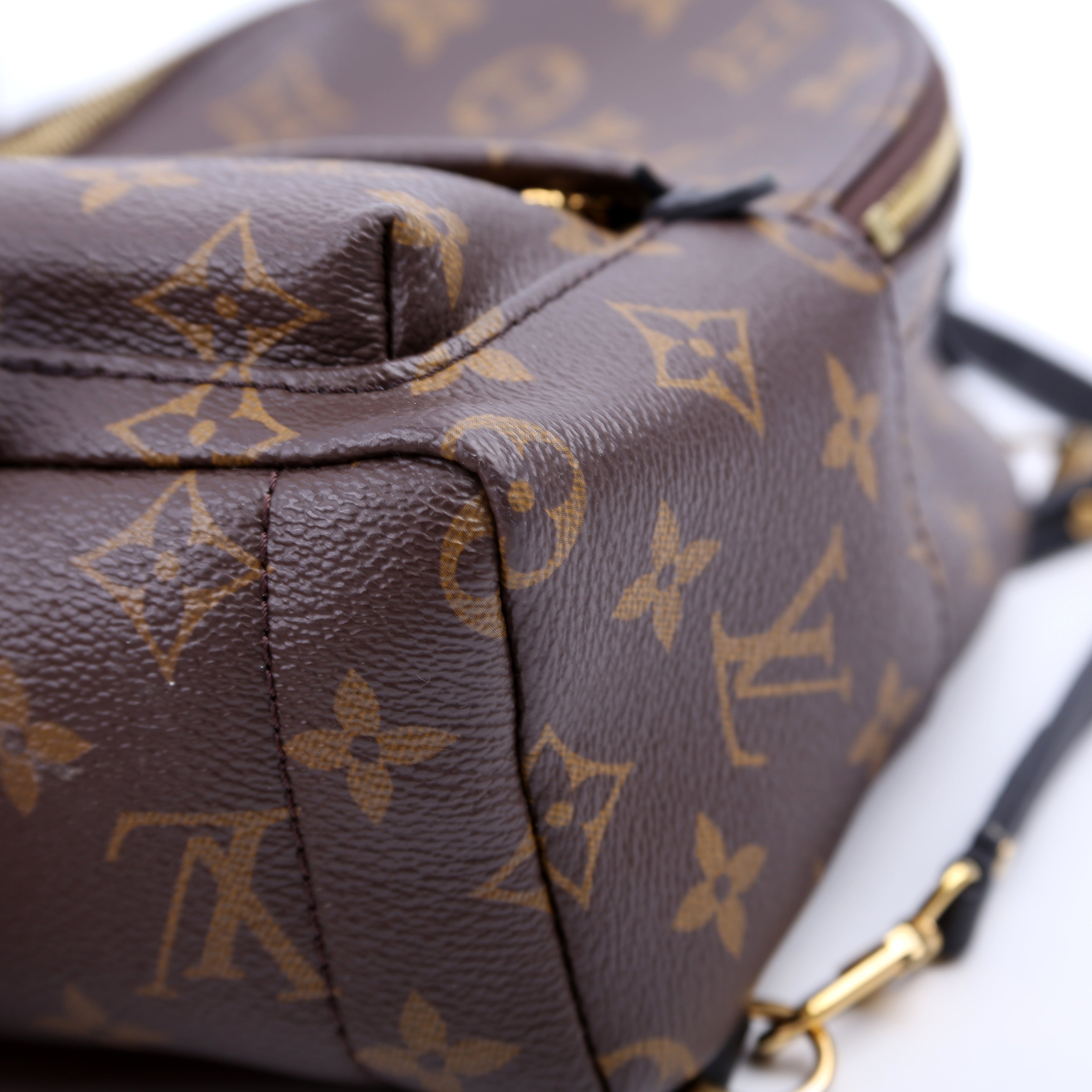 Louis Vuitton Palm Springs Mini Monogram