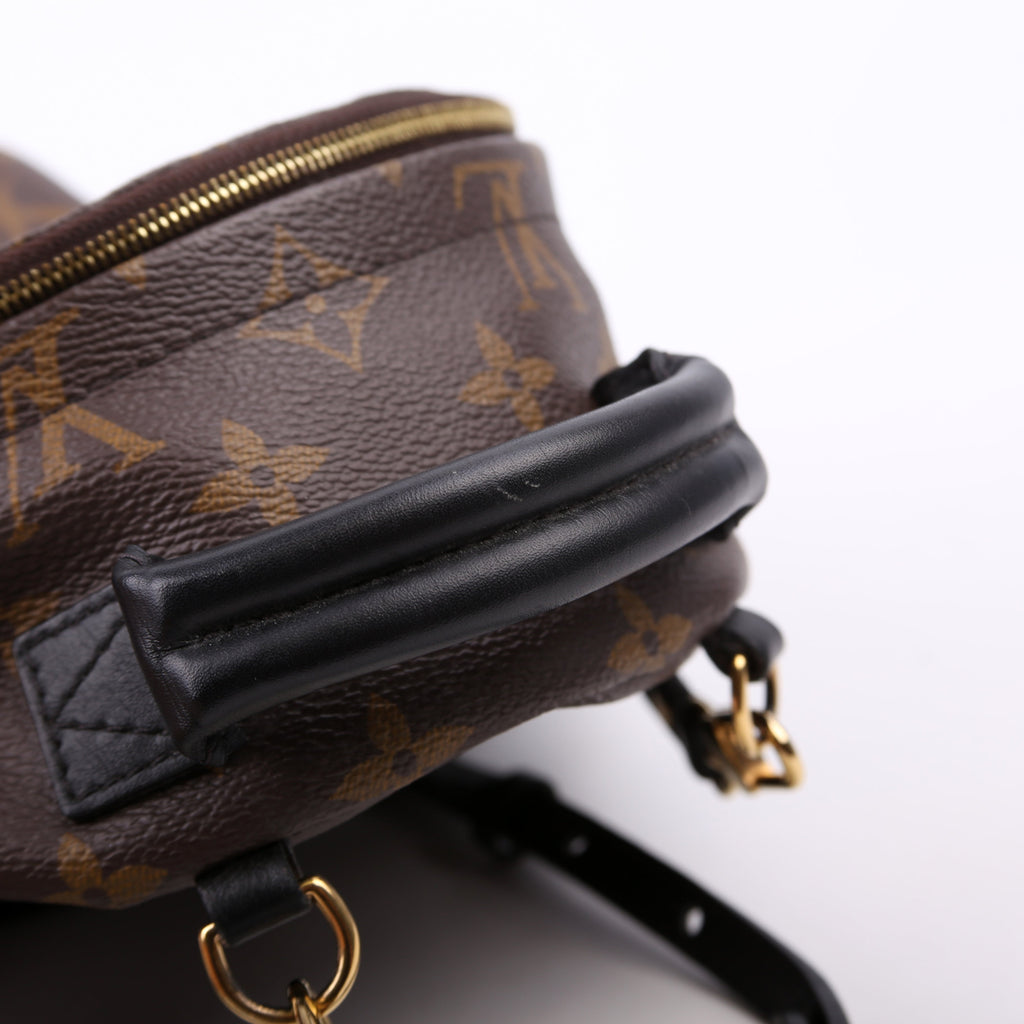Louis Vuitton Palm Springs Mini Monogram