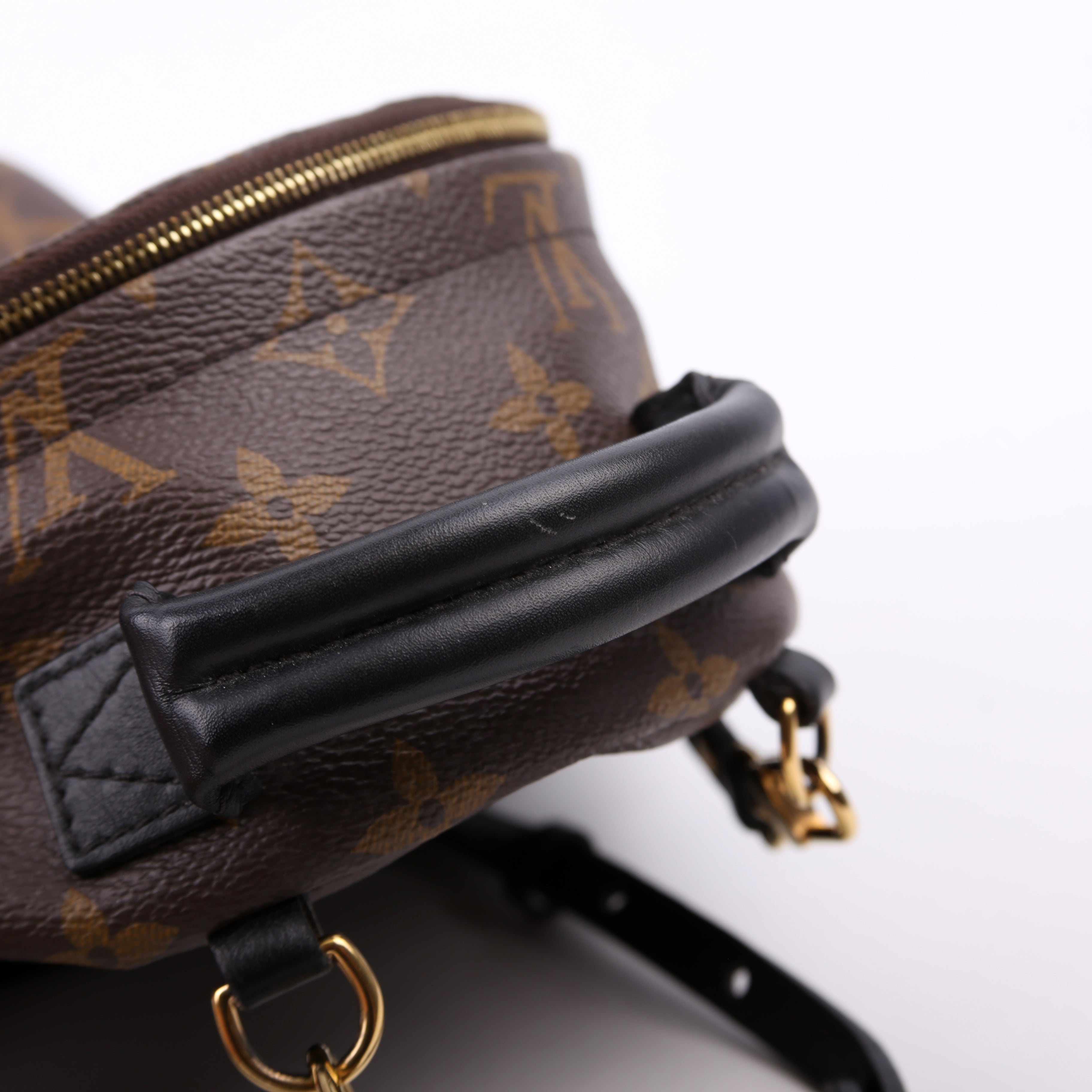 Louis Vuitton Palm Springs Mini Monogram