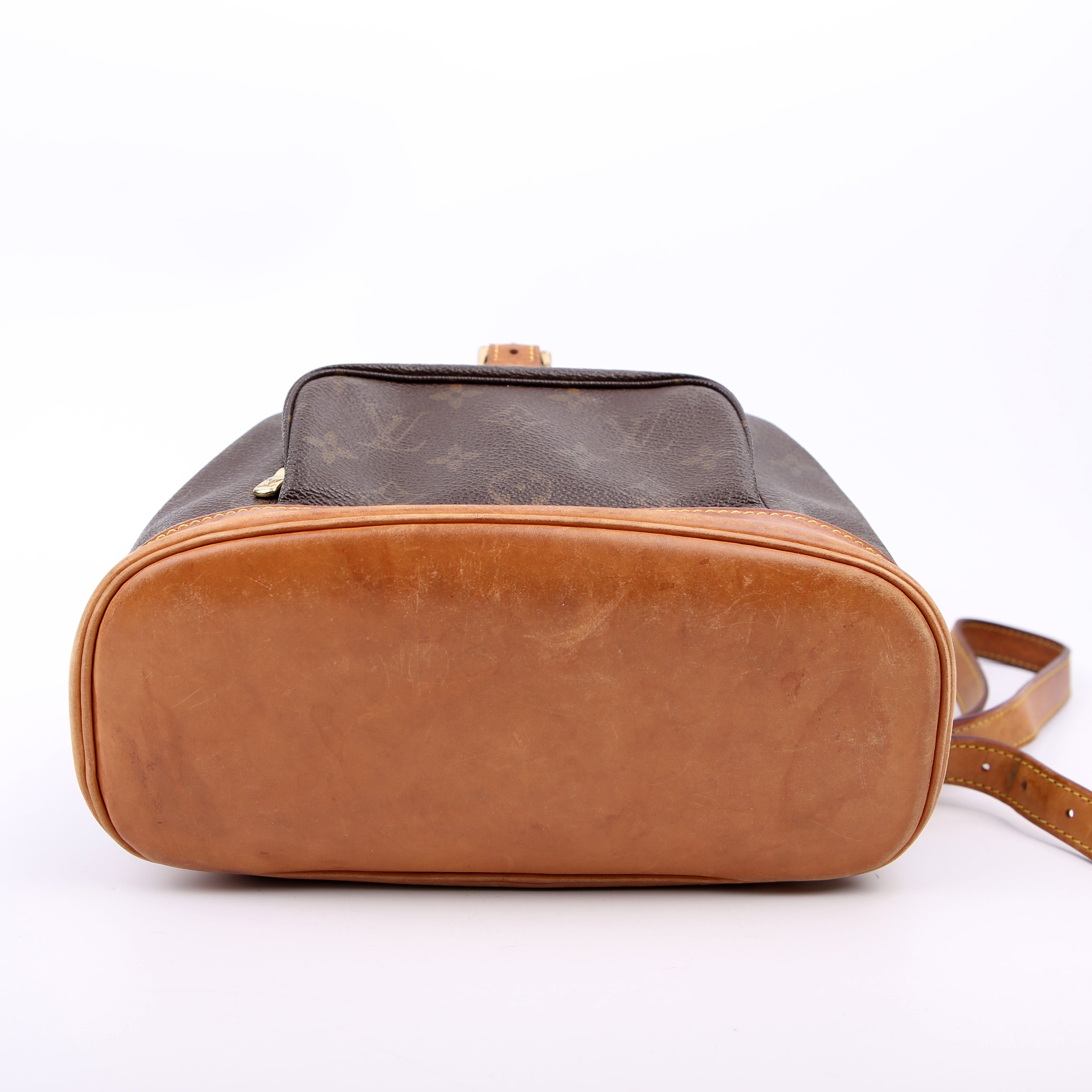 Louis Vuitton Montsouris PM Monogram
