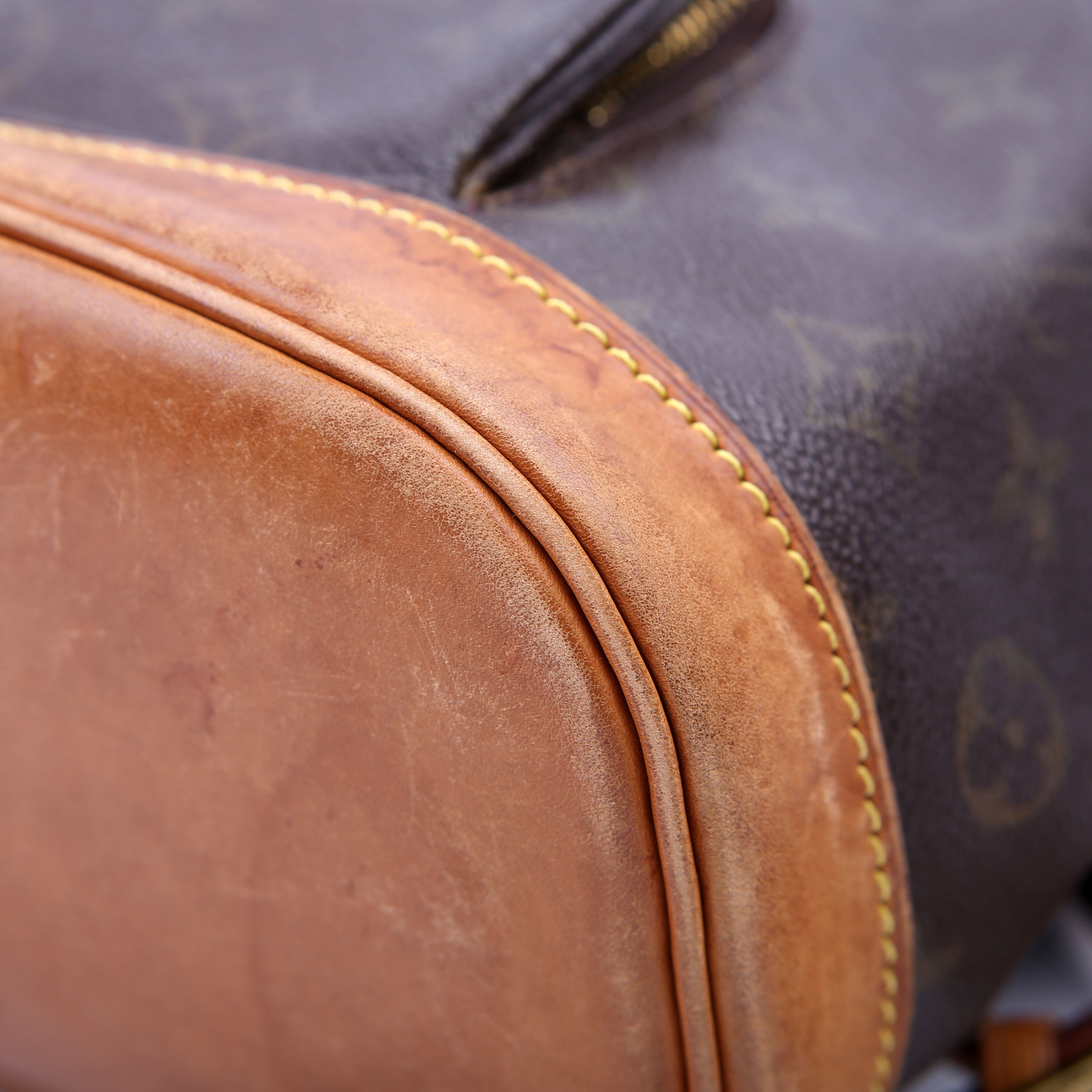 Louis Vuitton Montsouris PM Monogram