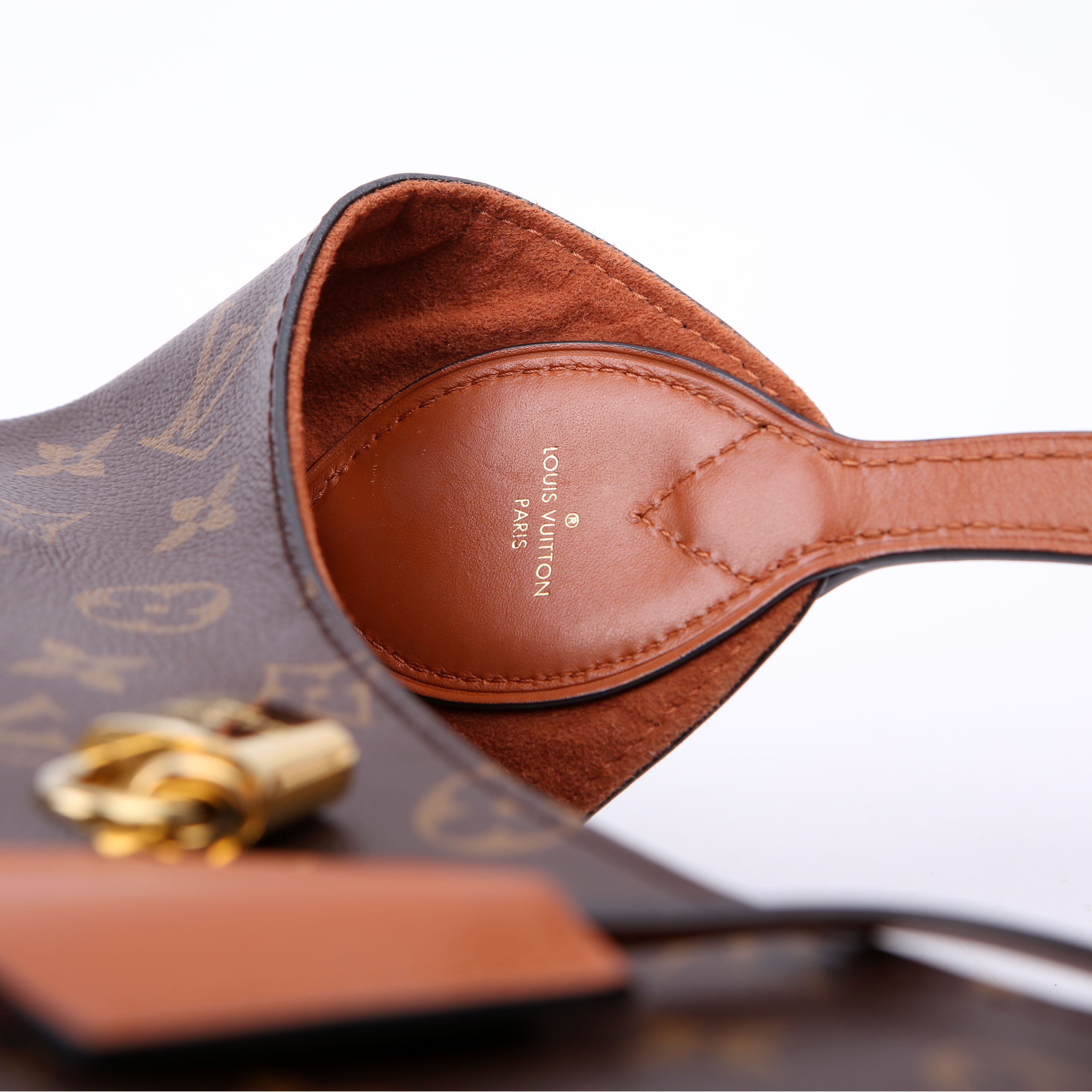 Louis Vuitton Flower Hobo Monogram Brown
