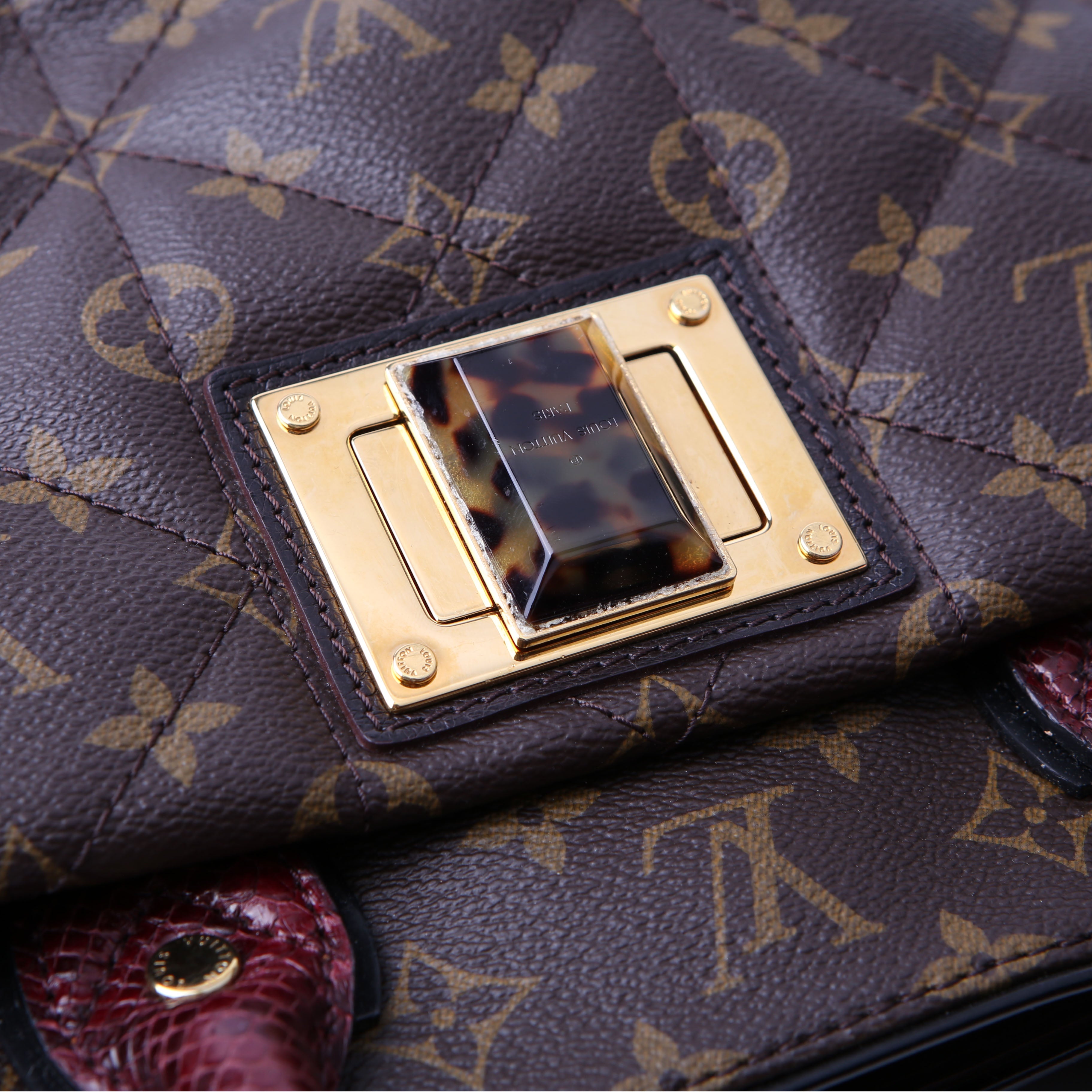 Louis Vuitton Etoile Exotique MM Monogram
