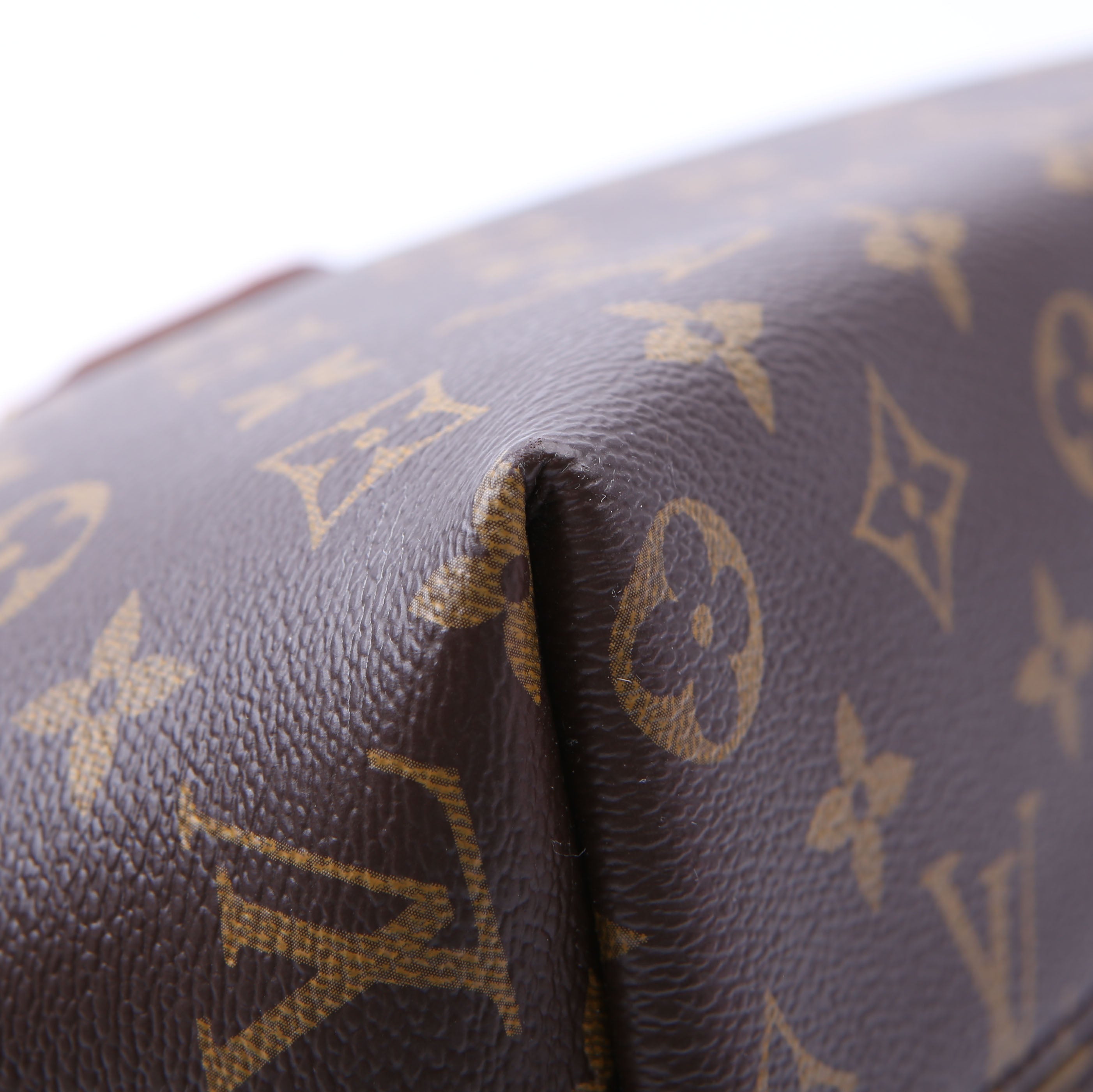 Louis Vuitton Iena PM Monogram