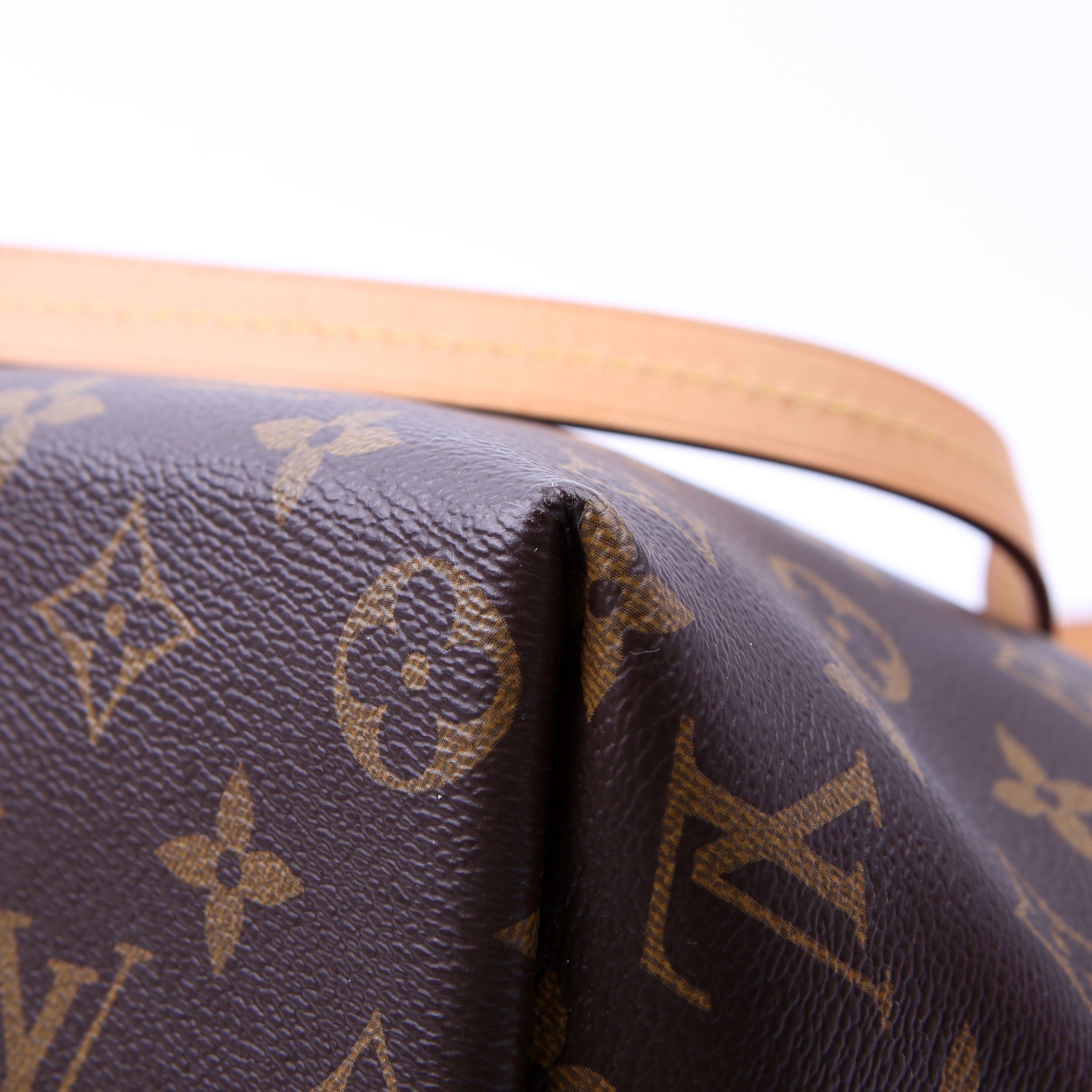 Louis Vuitton Iena PM Monogram