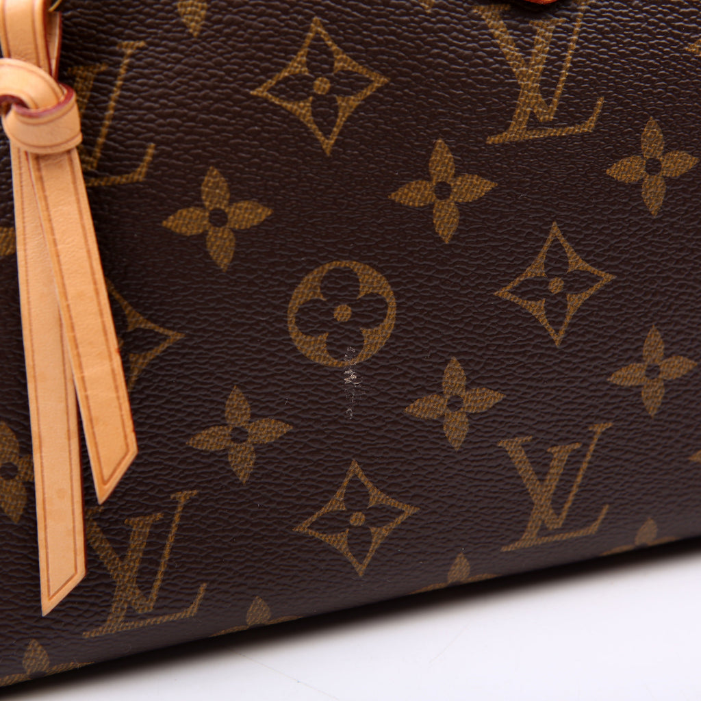 Louis Vuitton Iena PM Monogram