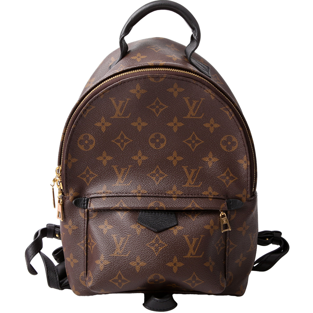 Louis Vuitton Palm Springs Backpack PM NM Monogram
