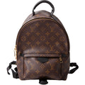 Louis Vuitton Palm Springs Backpack PM NM Monogram