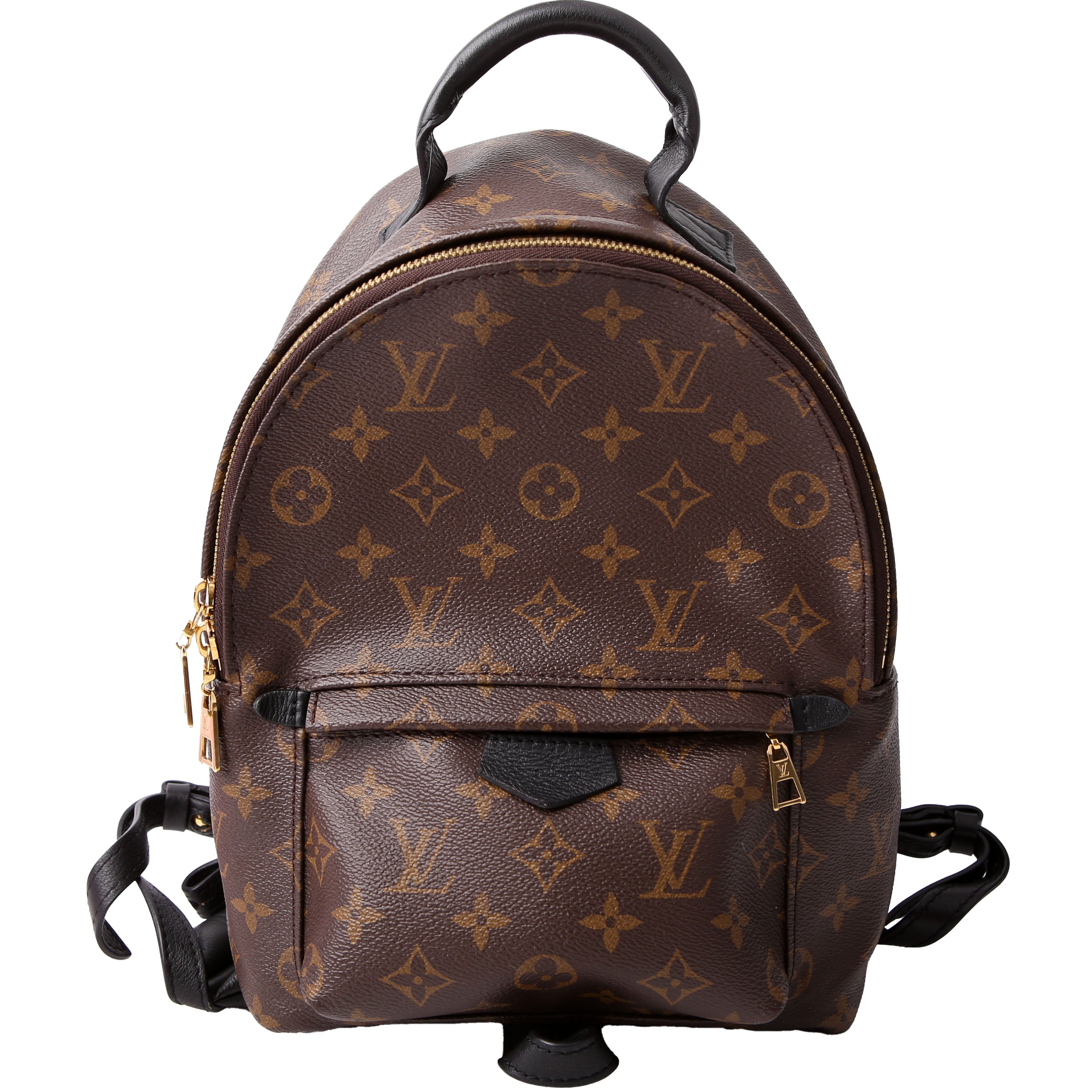 Louis Vuitton Palm Springs Backpack PM NM Monogram
