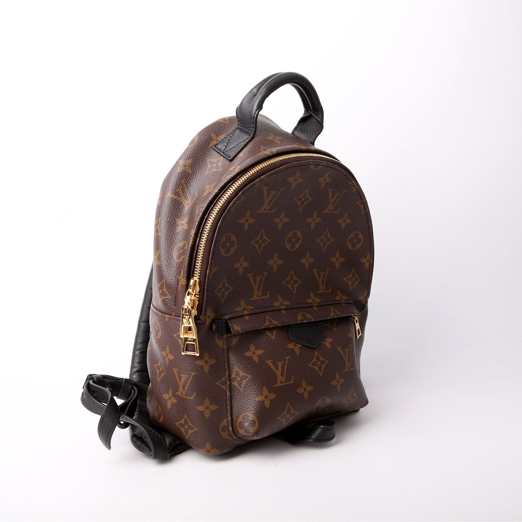 Louis Vuitton Palm Springs Backpack PM NM Monogram