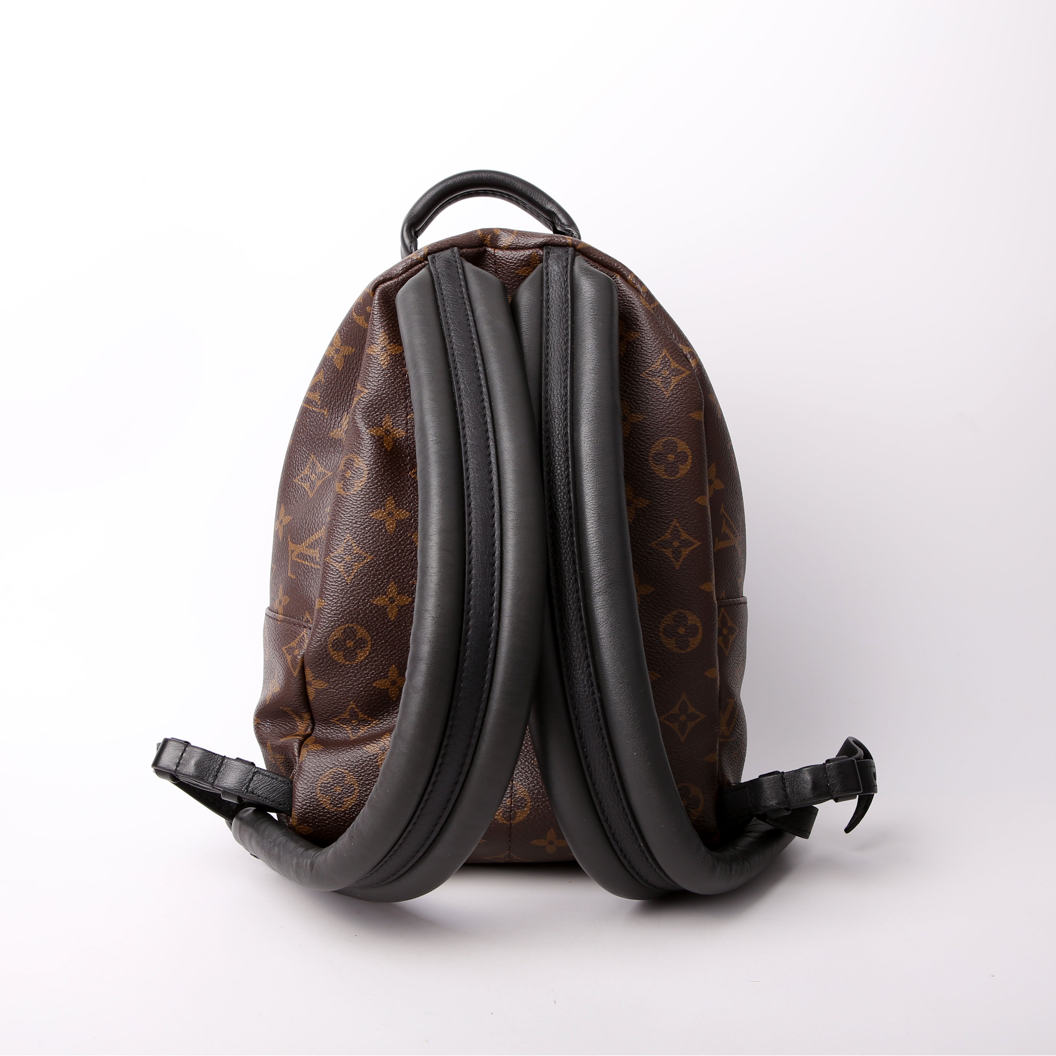 Louis Vuitton Palm Springs Backpack PM NM Monogram