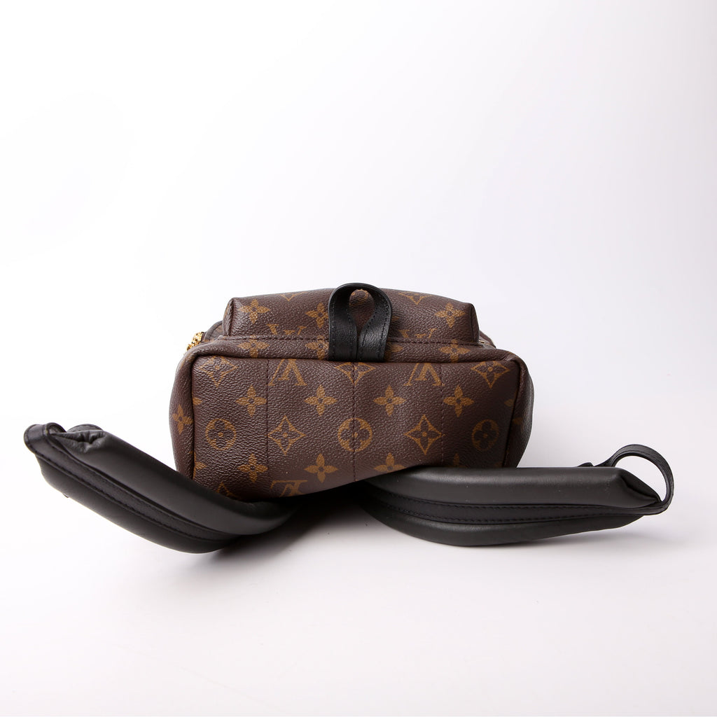 Louis Vuitton Palm Springs Backpack PM NM Monogram