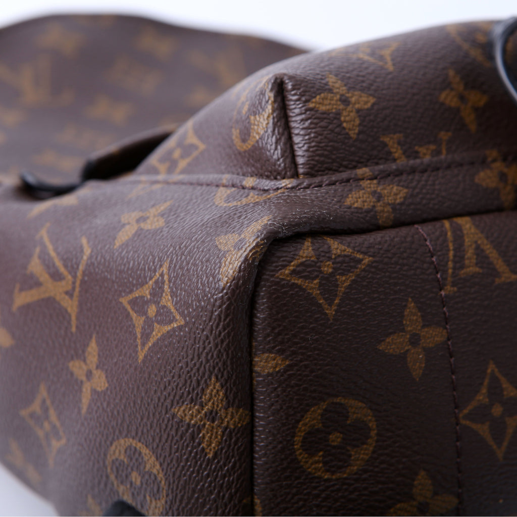Louis Vuitton Palm Springs Backpack PM NM Monogram