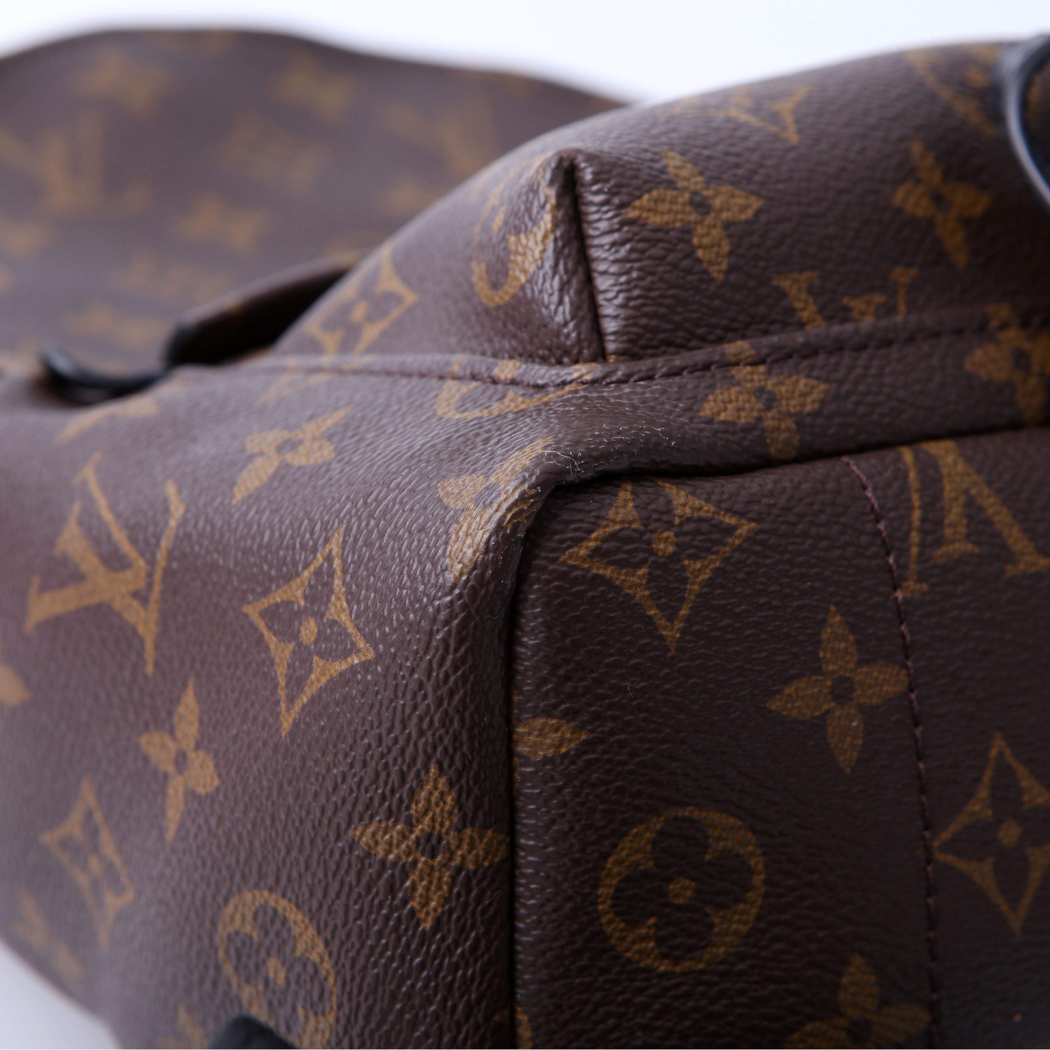 Louis Vuitton Palm Springs Backpack PM NM Monogram