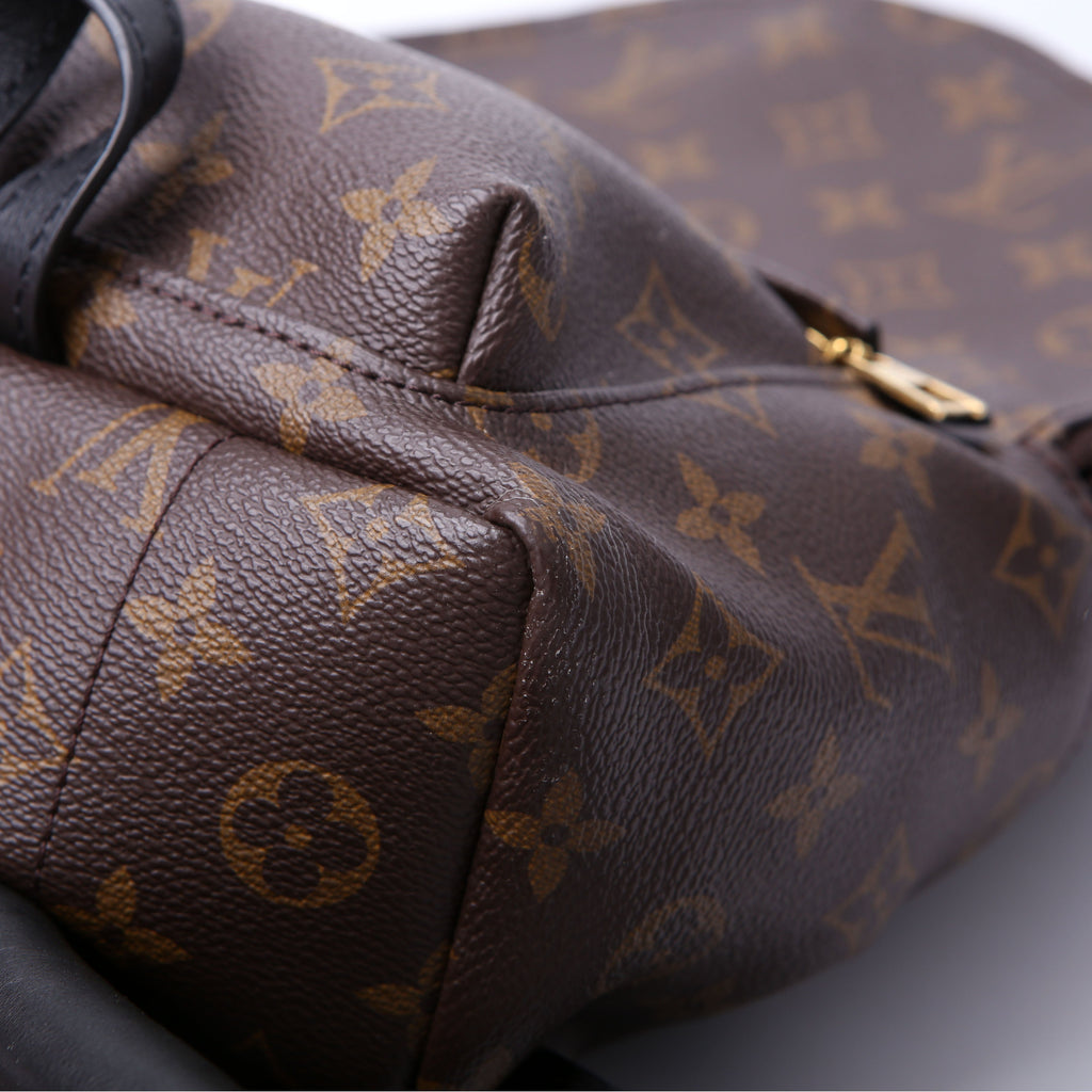 Louis Vuitton Palm Springs Backpack PM NM Monogram
