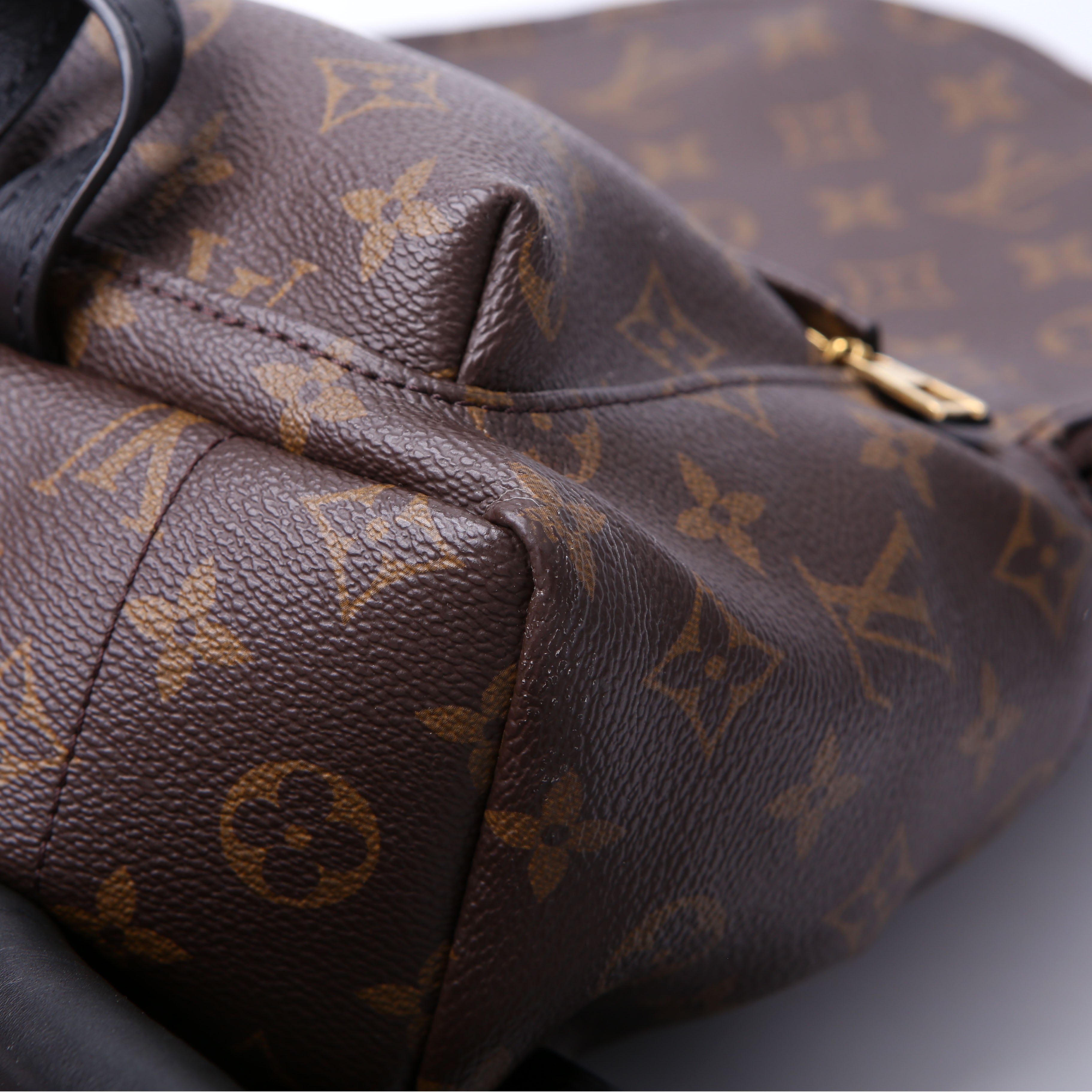 Louis Vuitton Palm Springs Backpack PM NM Monogram