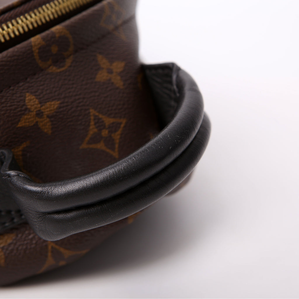 Louis Vuitton Palm Springs Backpack PM NM Monogram