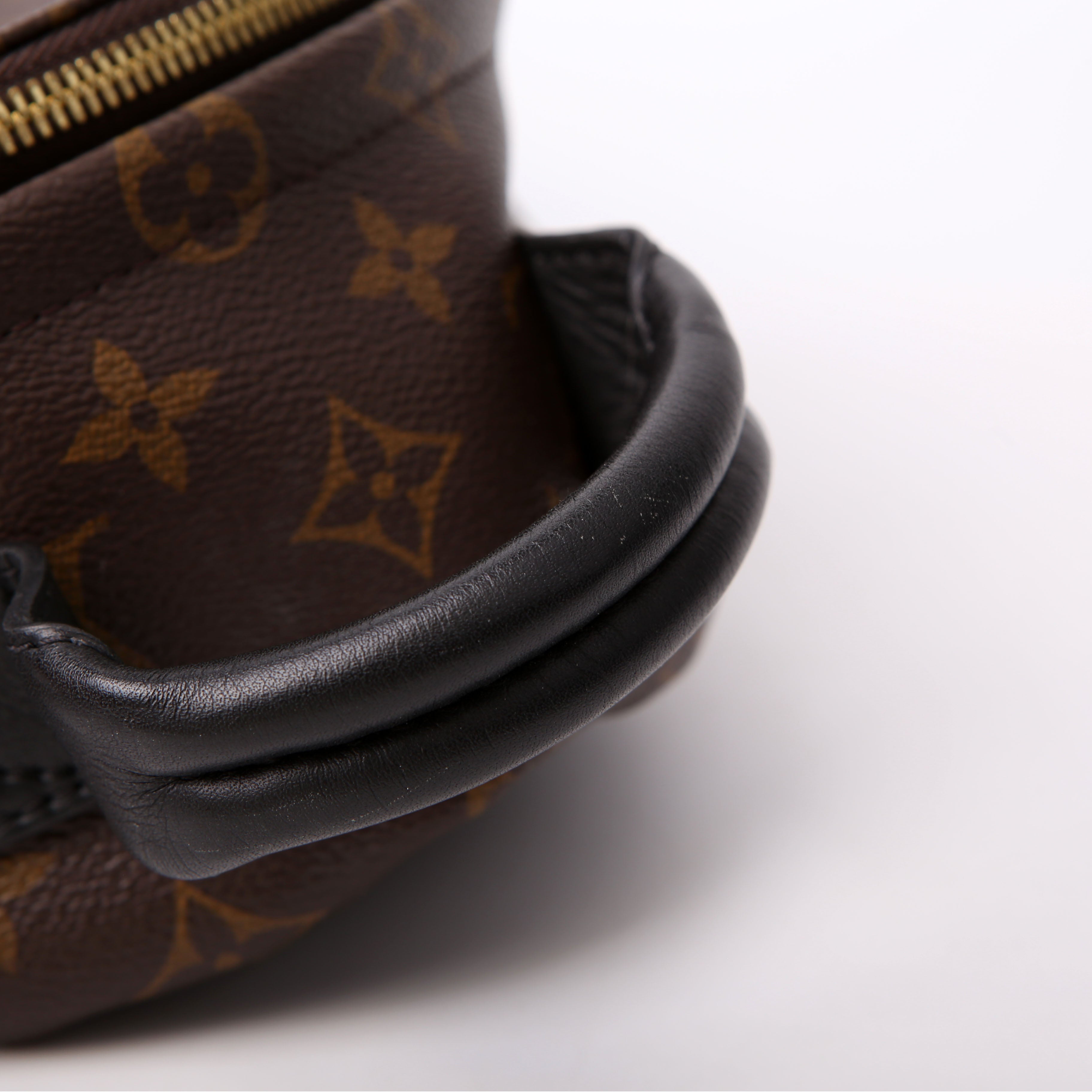 Louis Vuitton Palm Springs Backpack PM NM Monogram
