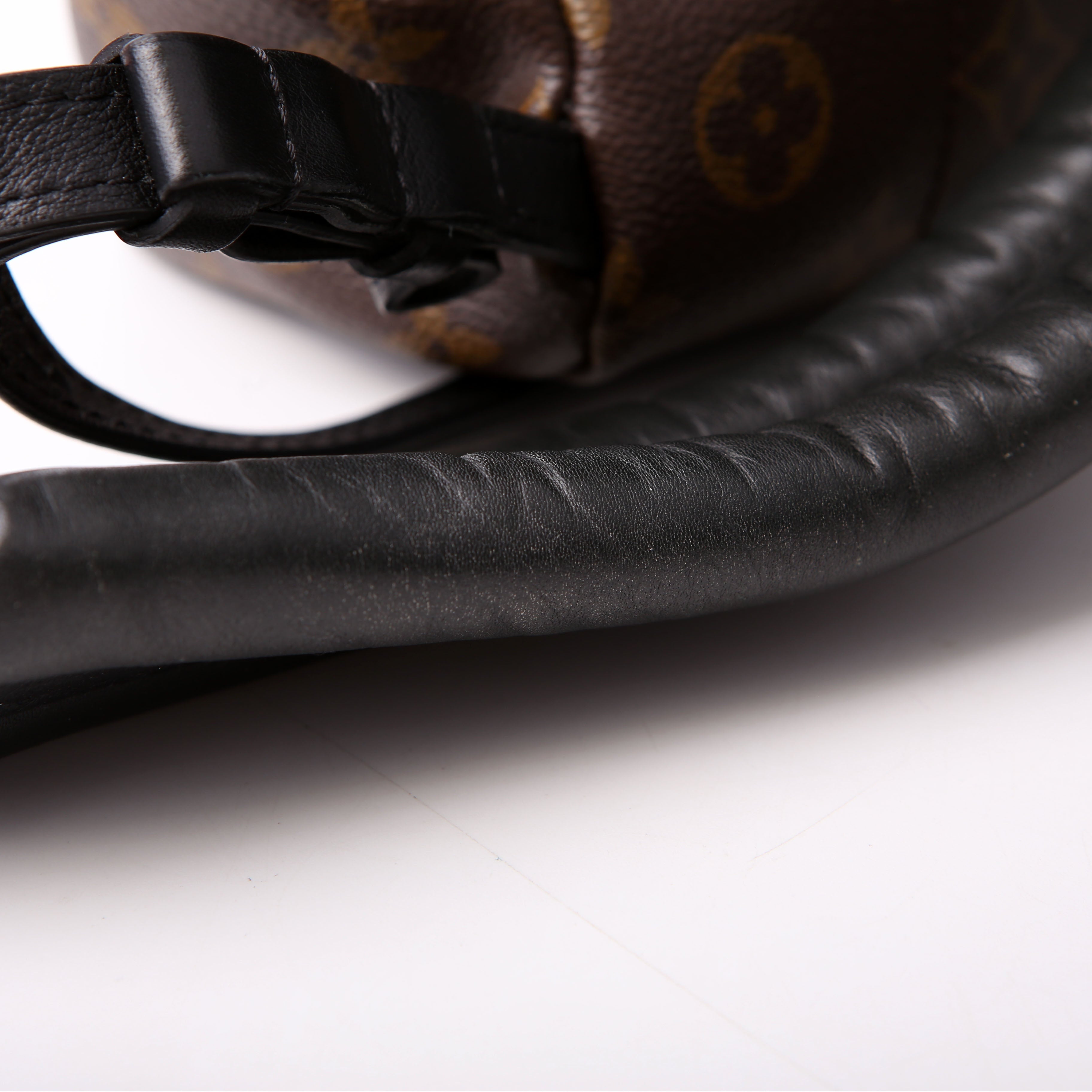 Louis Vuitton Palm Springs Backpack PM NM Monogram