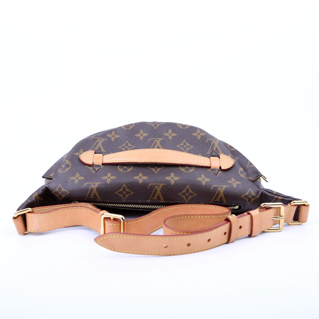 Louis Vuitton Bumbag Monogram
