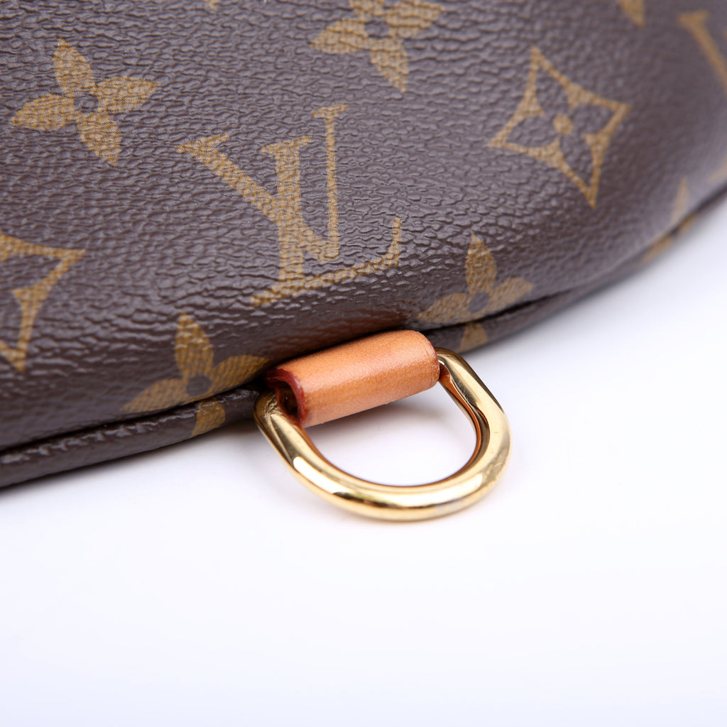 Louis Vuitton Bumbag Monogram