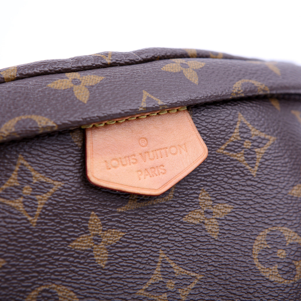 Louis Vuitton Bumbag Monogram