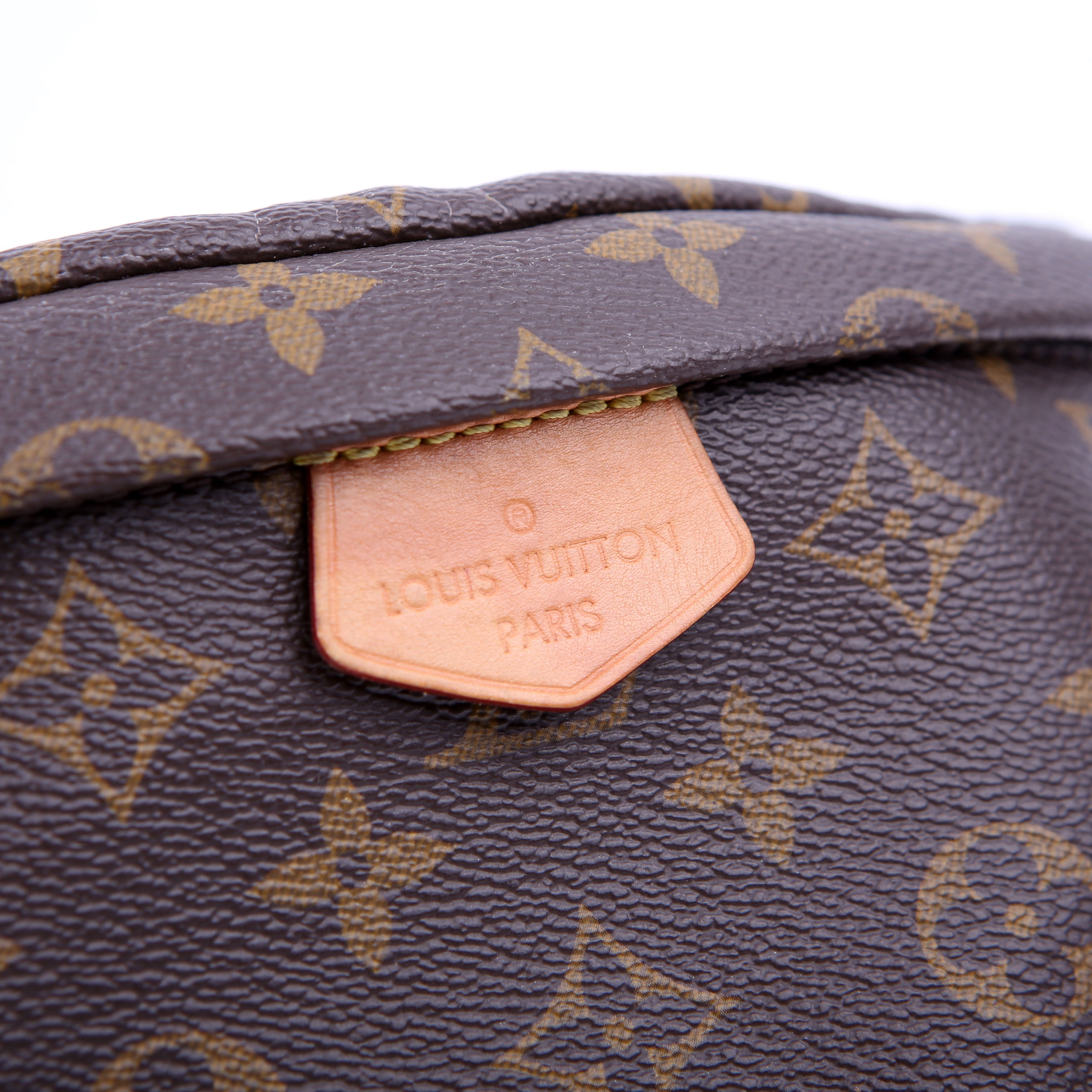 Louis Vuitton Bumbag Monogram