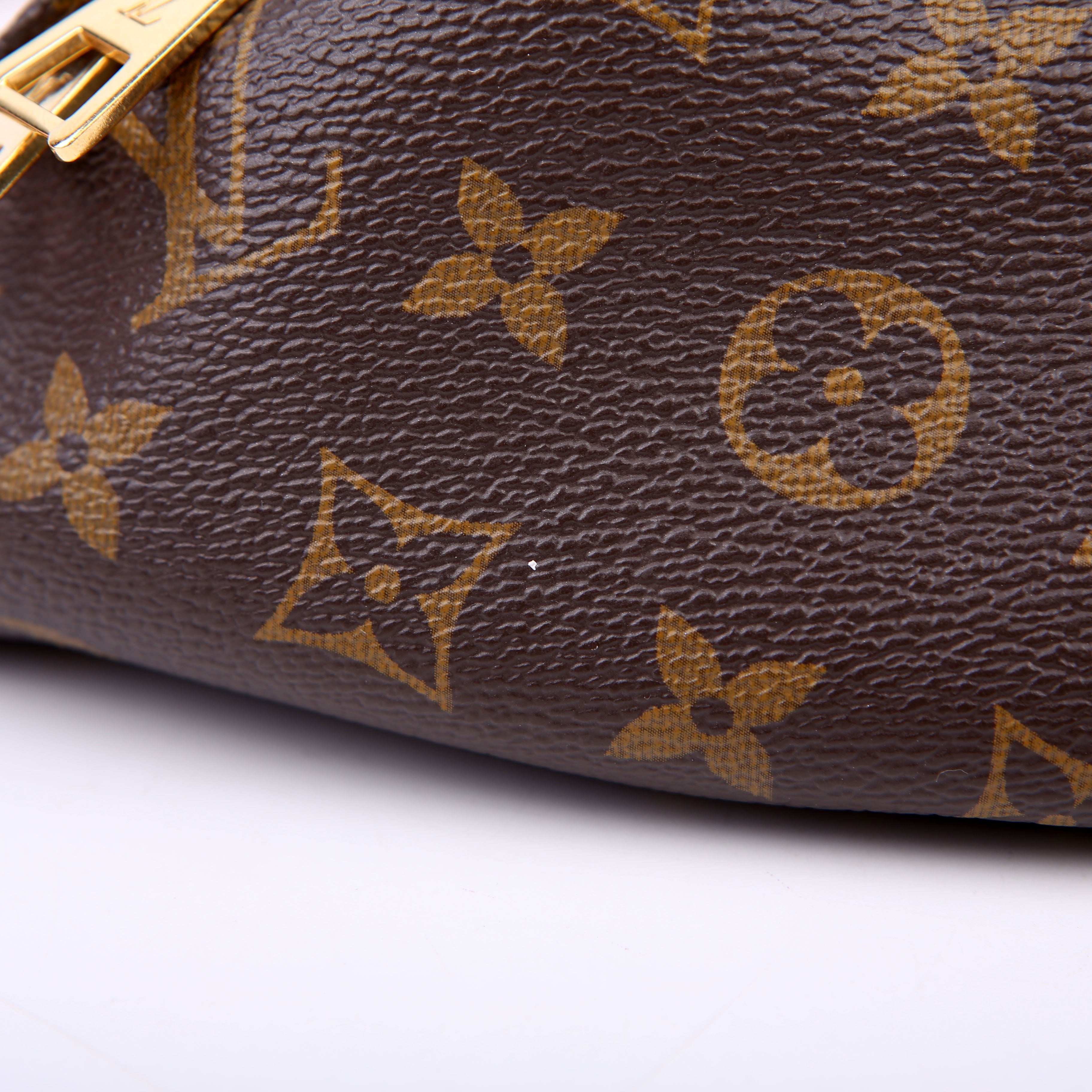 Louis Vuitton Bumbag Monogram