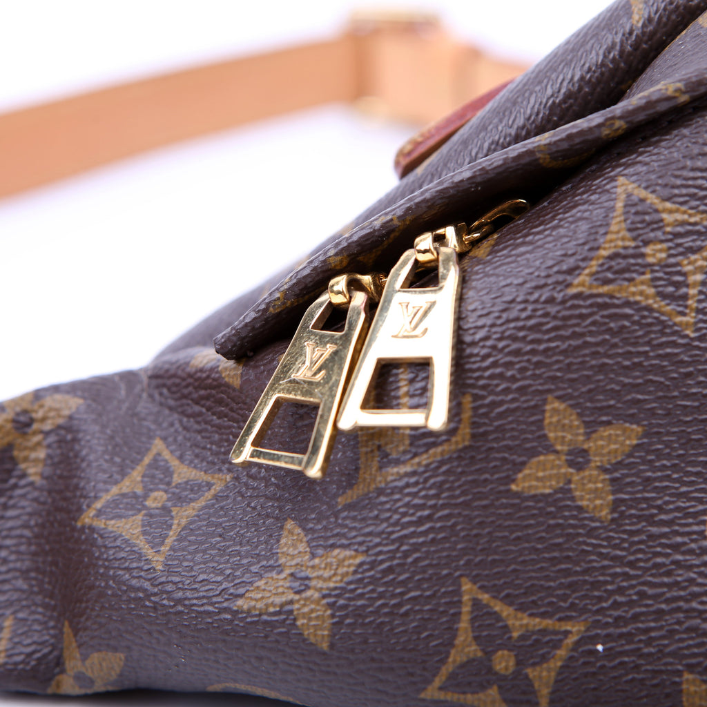 Louis Vuitton Bumbag Monogram