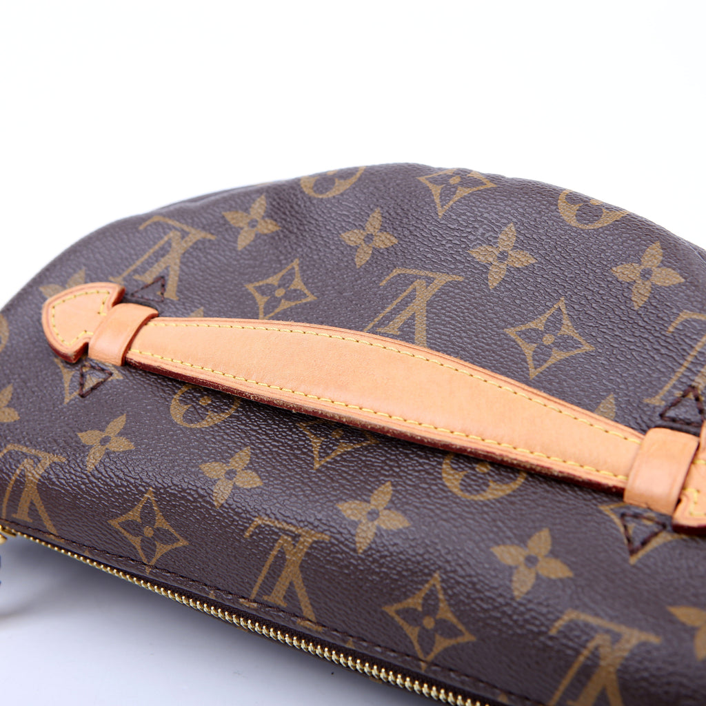 Louis Vuitton Bumbag Monogram