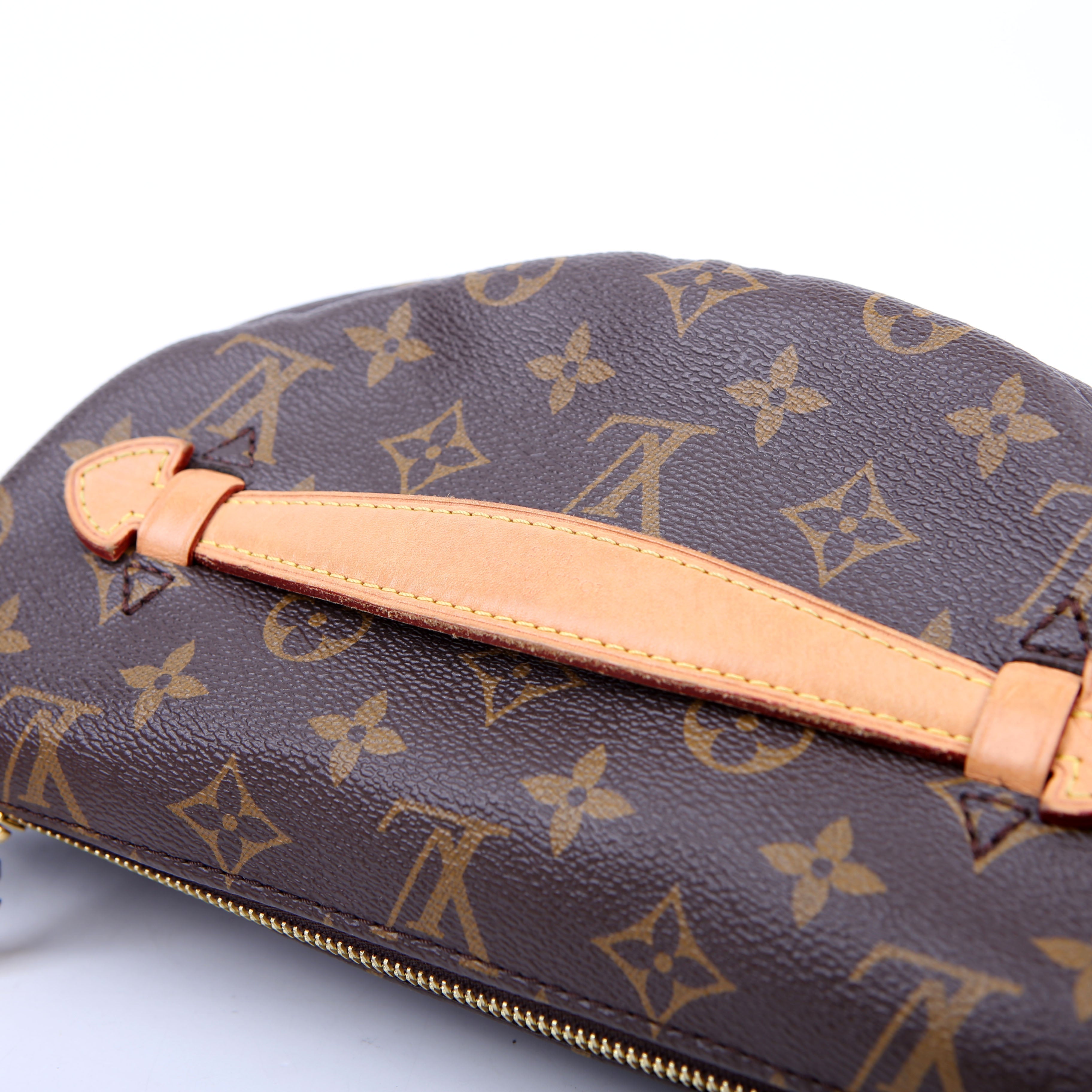 Louis Vuitton Bumbag Monogram