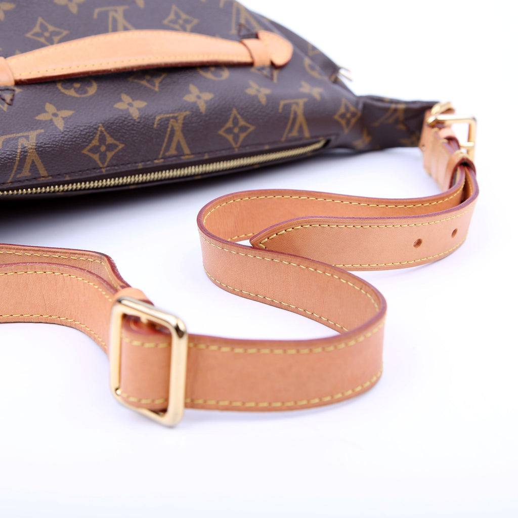 Louis Vuitton Bumbag Monogram