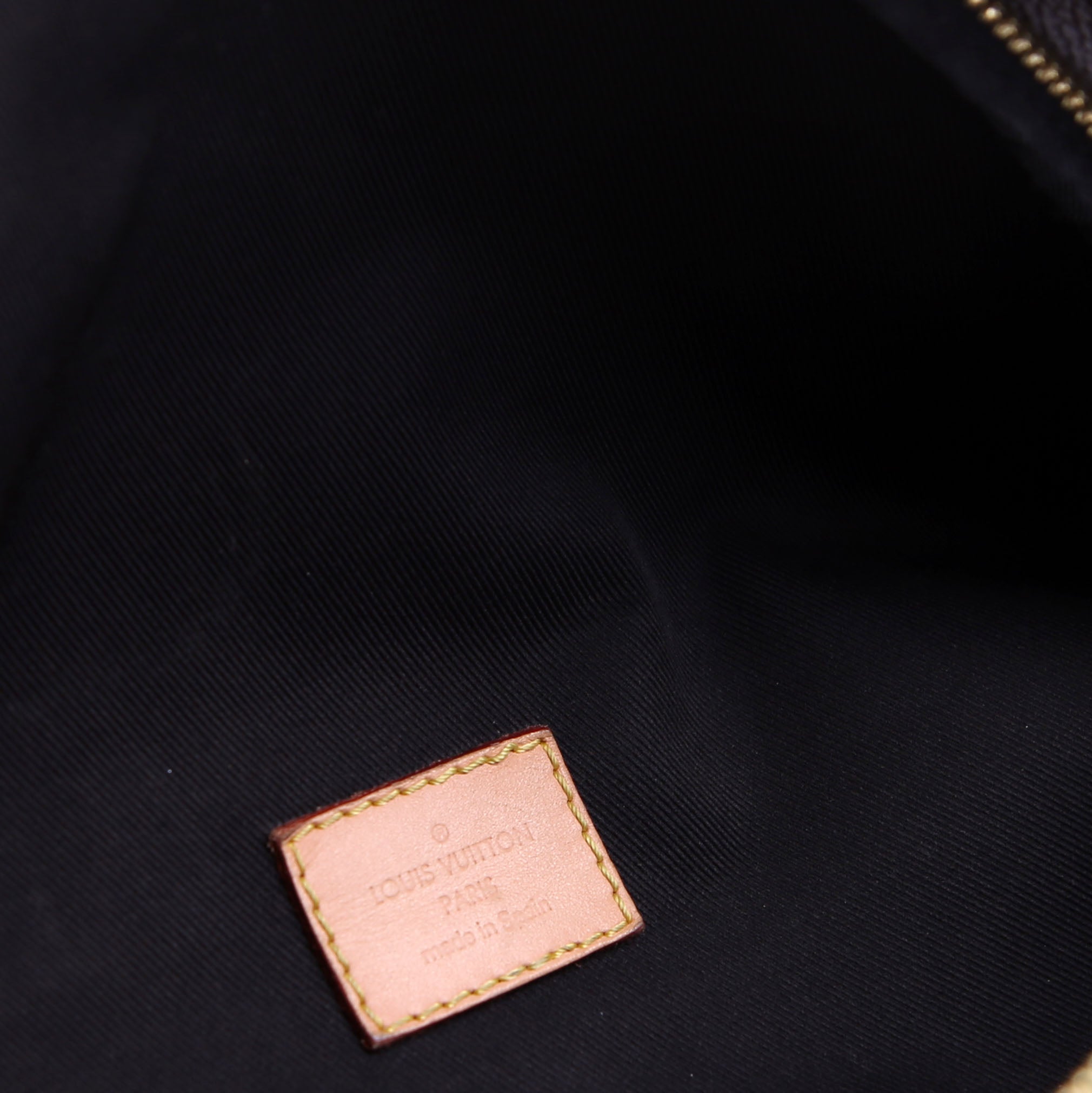 Louis Vuitton Bumbag Monogram