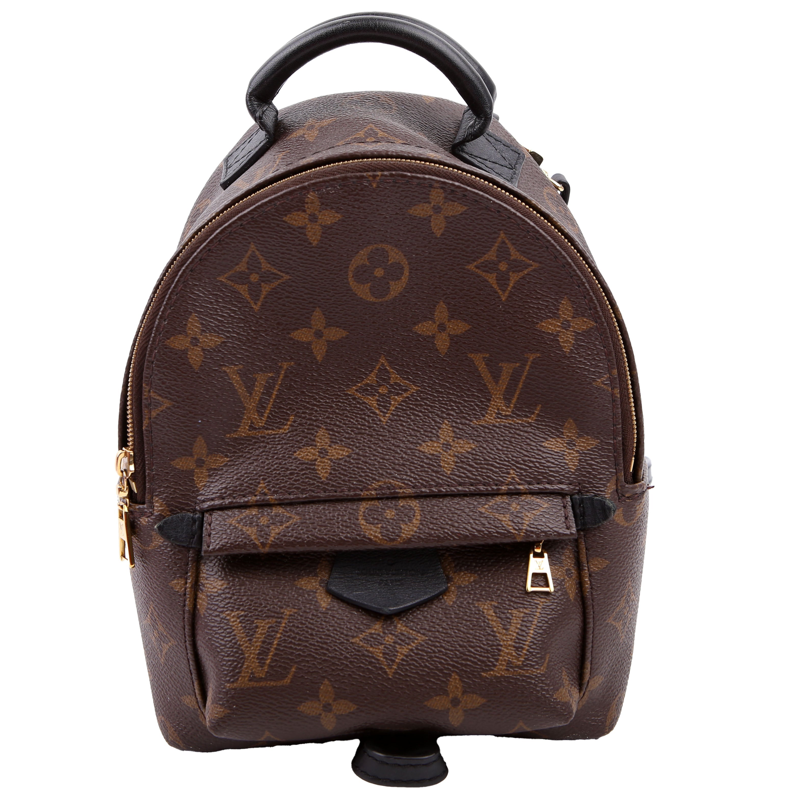 Louis Vuitton Palm Springs Mini Monogram Black