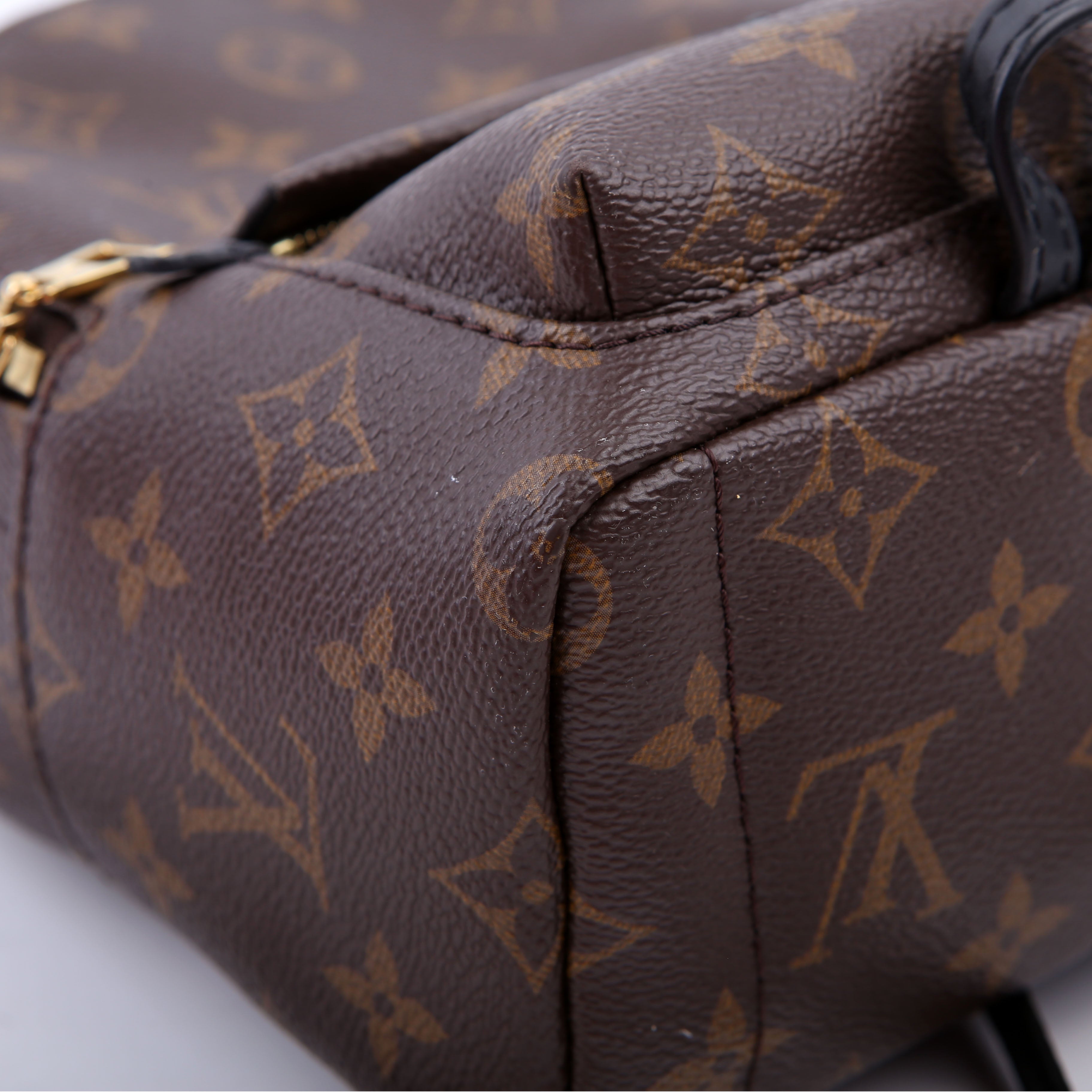 Louis Vuitton Palm Springs Mini Monogram Black