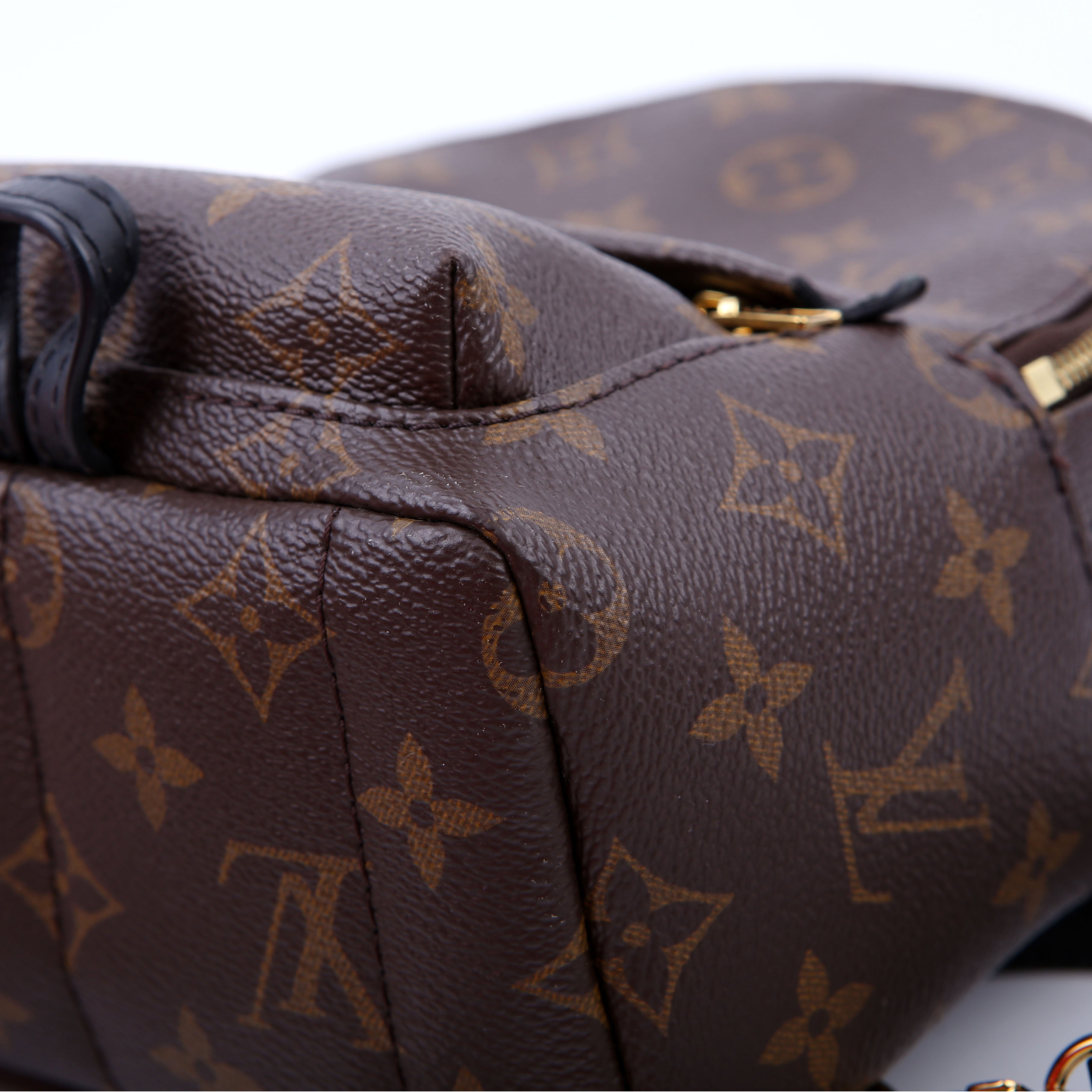 Louis Vuitton Palm Springs Mini Monogram Black