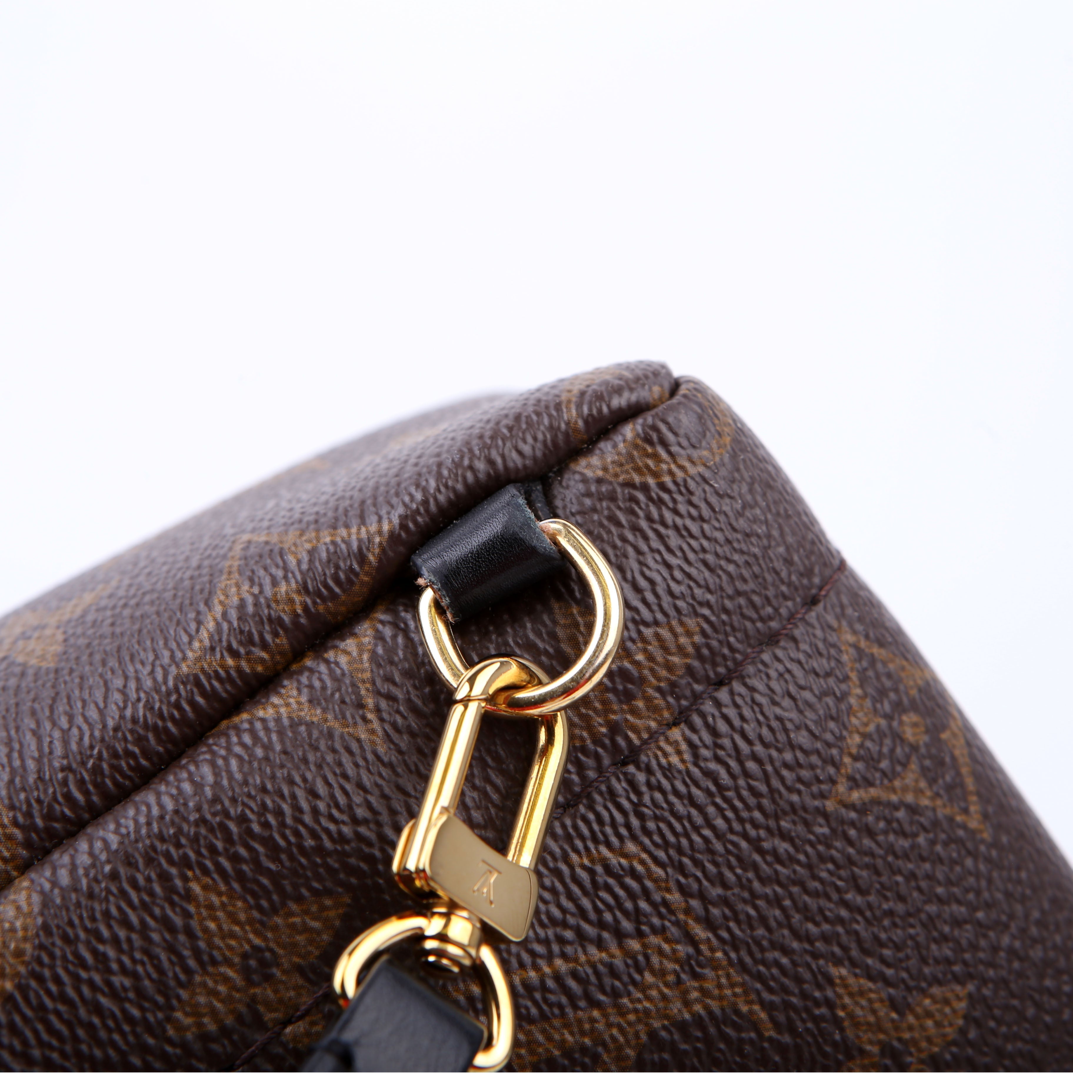 Louis Vuitton Palm Springs Mini Monogram Black