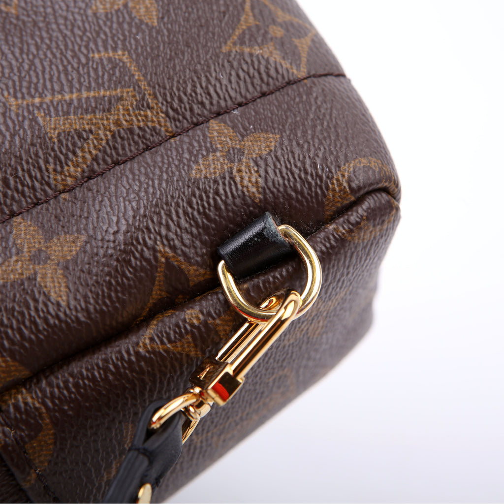 Louis Vuitton Palm Springs Mini Monogram Black