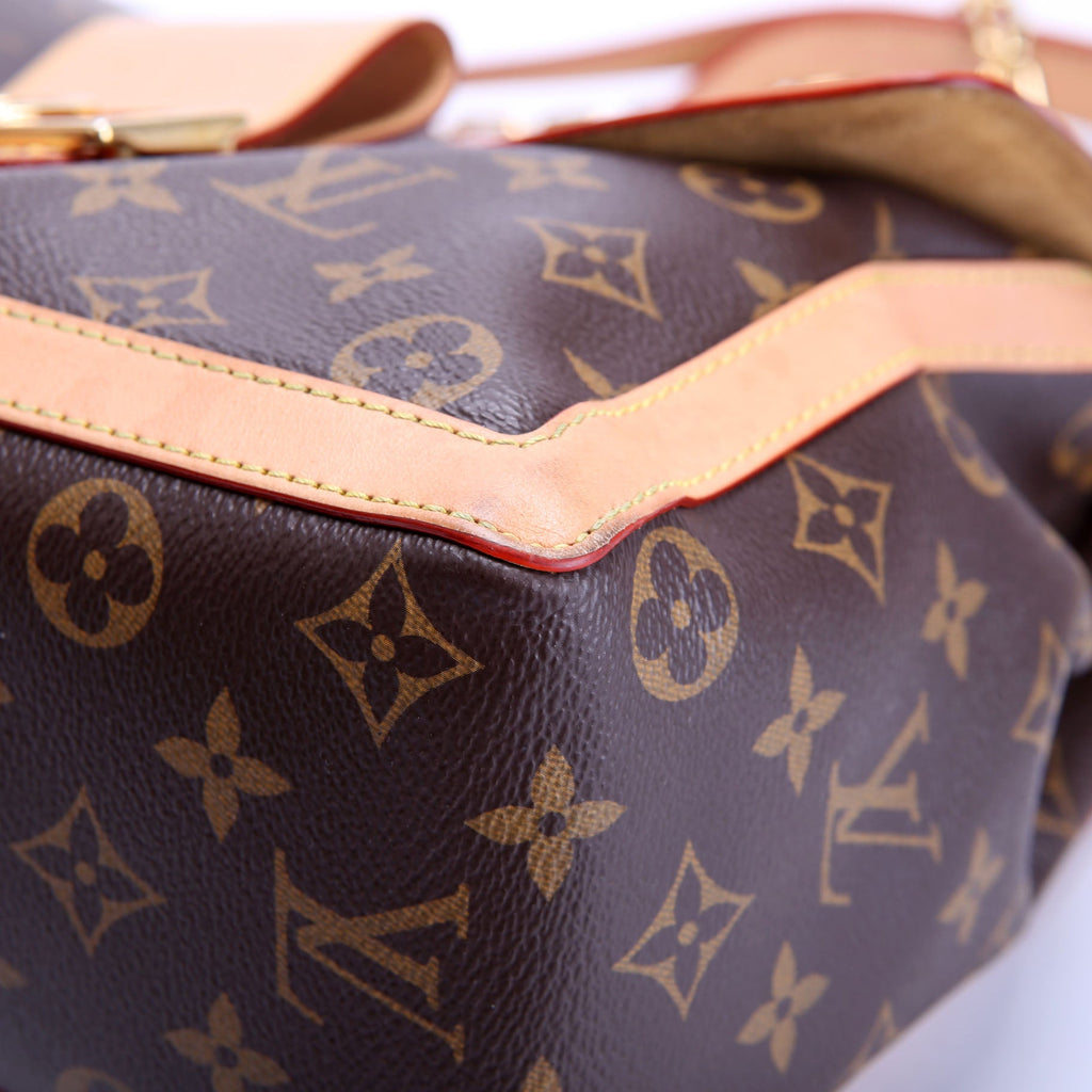 Louis Vuitton Dauphine Soft GM Monogram