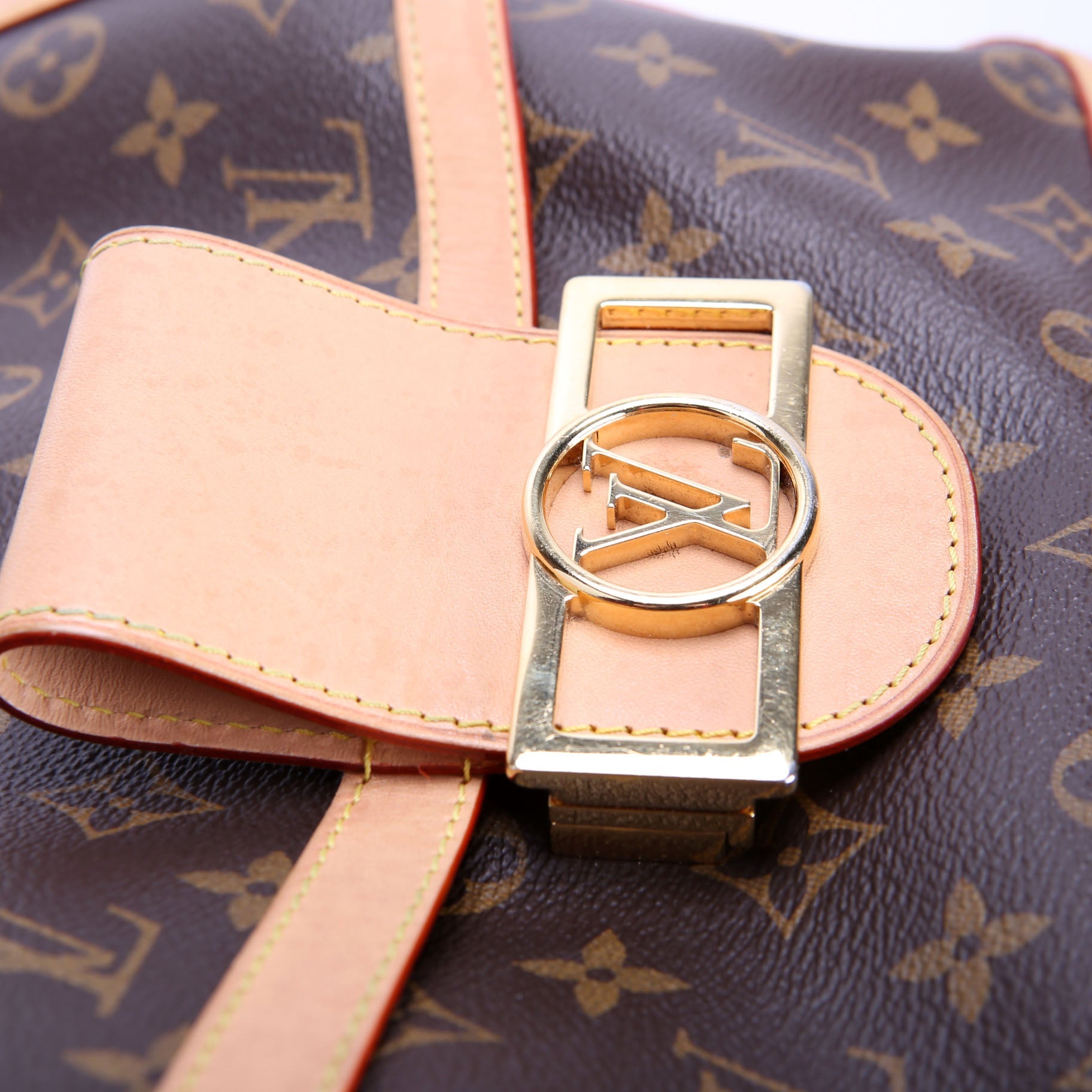 Louis Vuitton Dauphine Soft GM Monogram