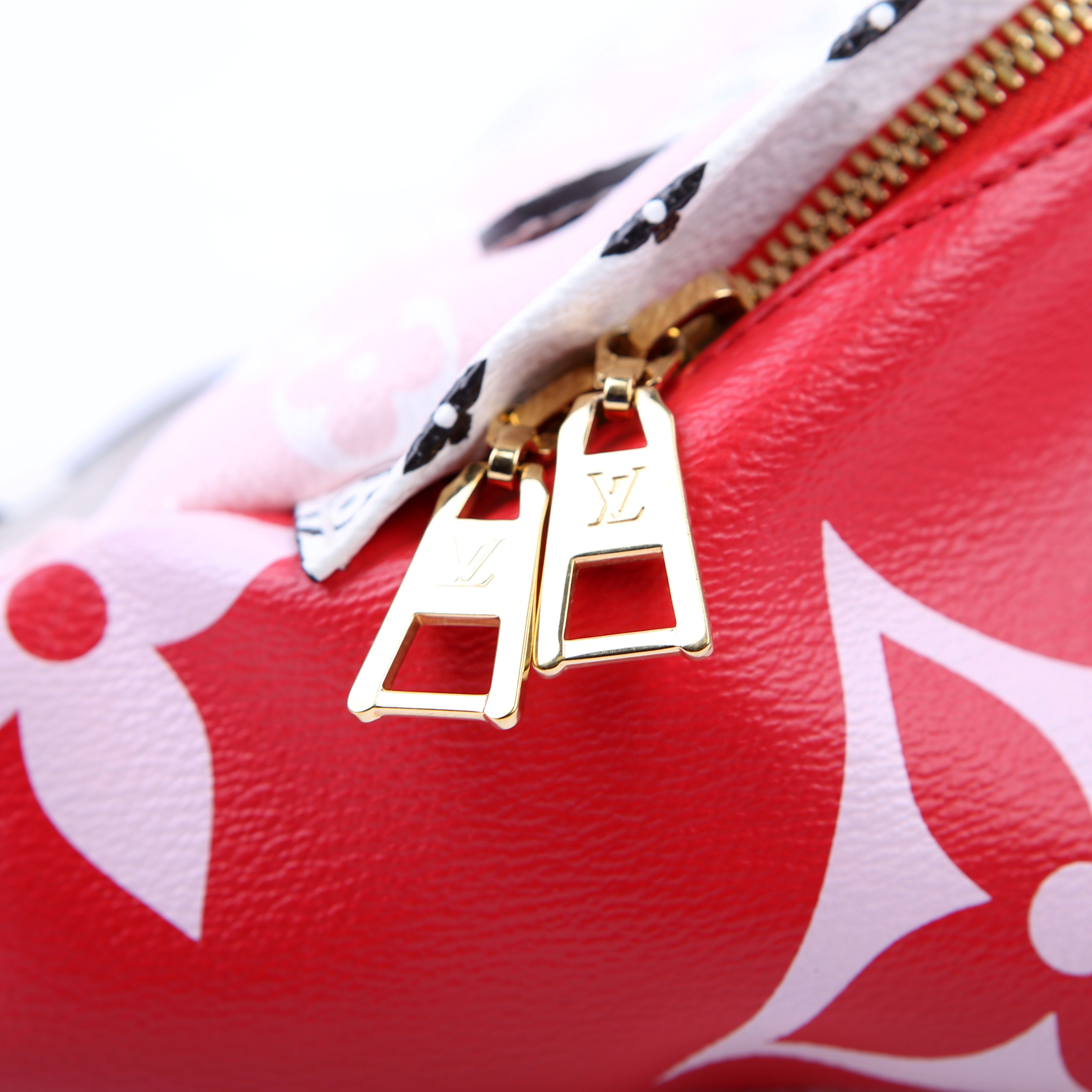 Louis Vuitton Bumbag Giant Monogram Red/Pink