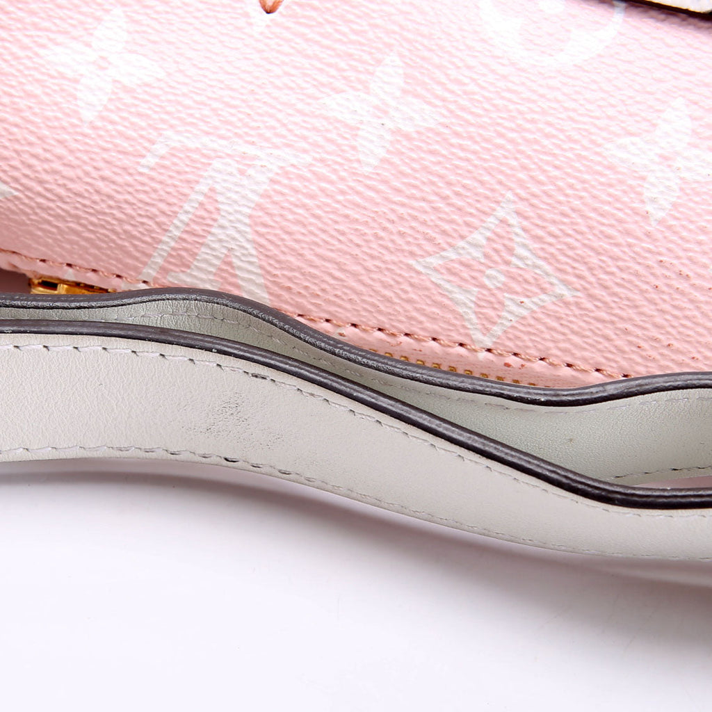 Louis Vuitton Bumbag Giant Monogram Red/Pink