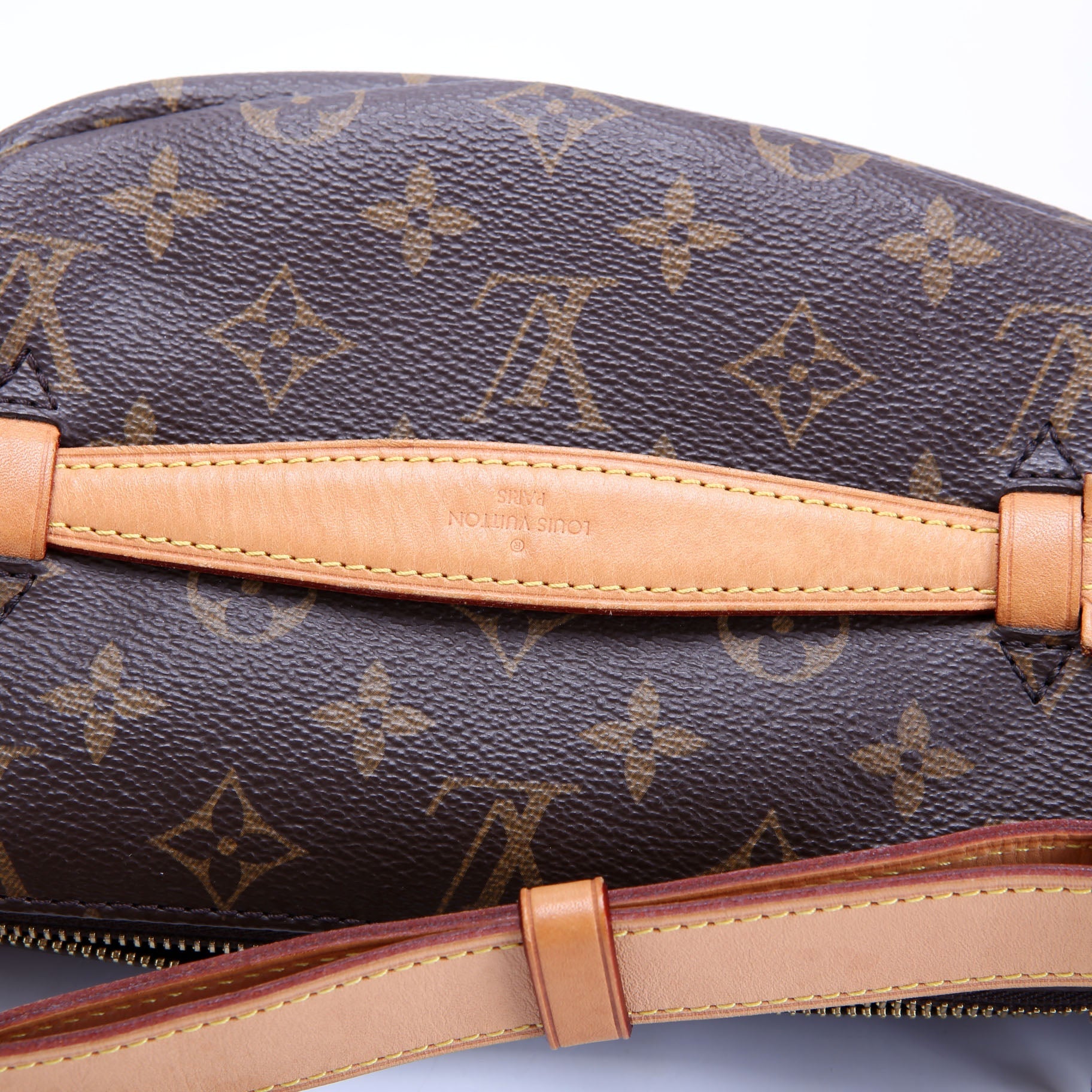 Louis Vuitton Bumbag Monogram 2021