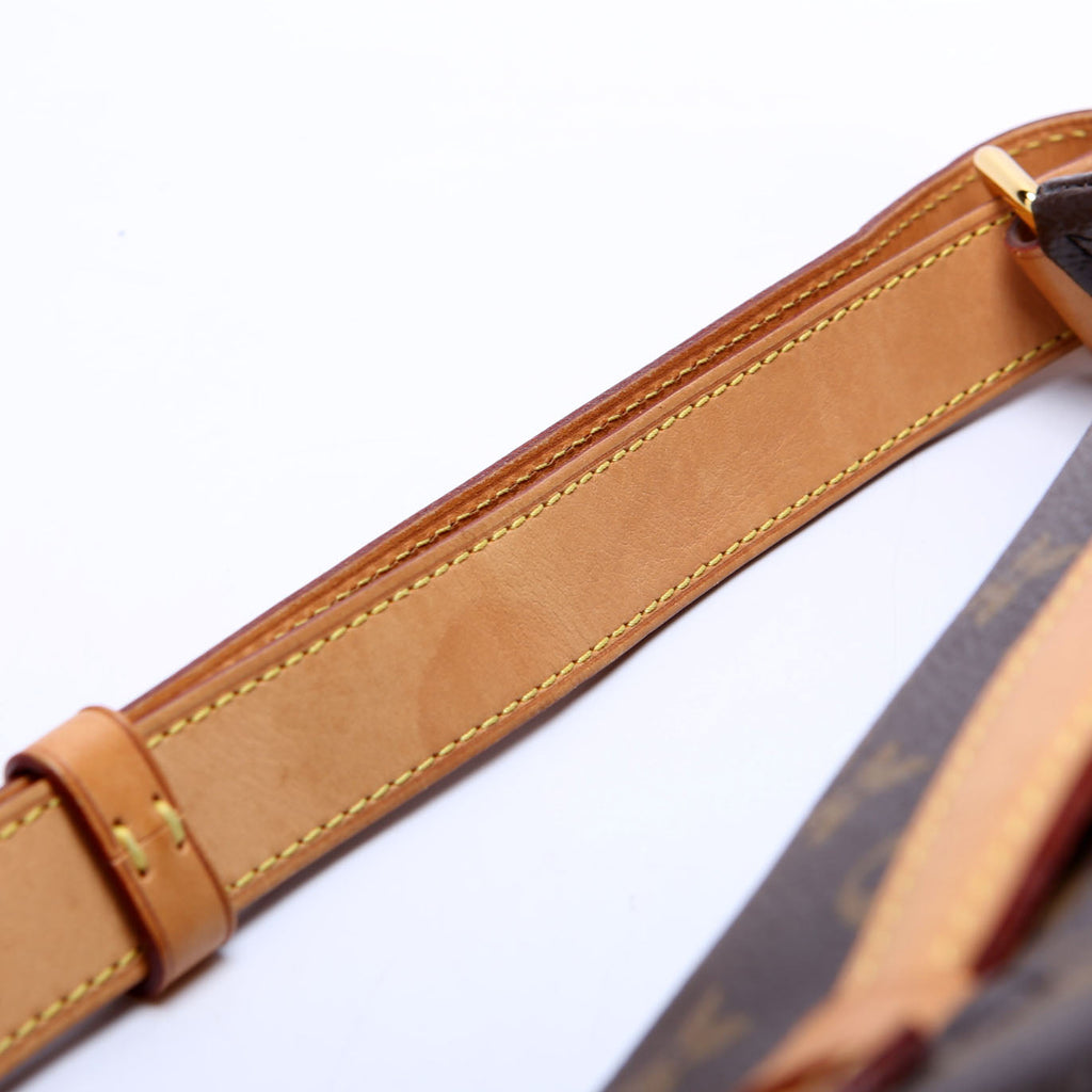 Louis Vuitton Bumbag Monogram 2021