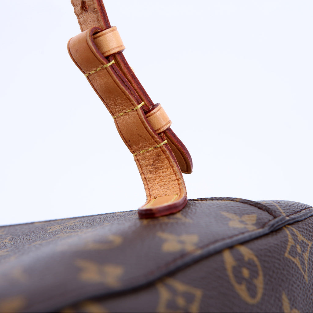 Louis Vuitton Montsouris NM Monogram