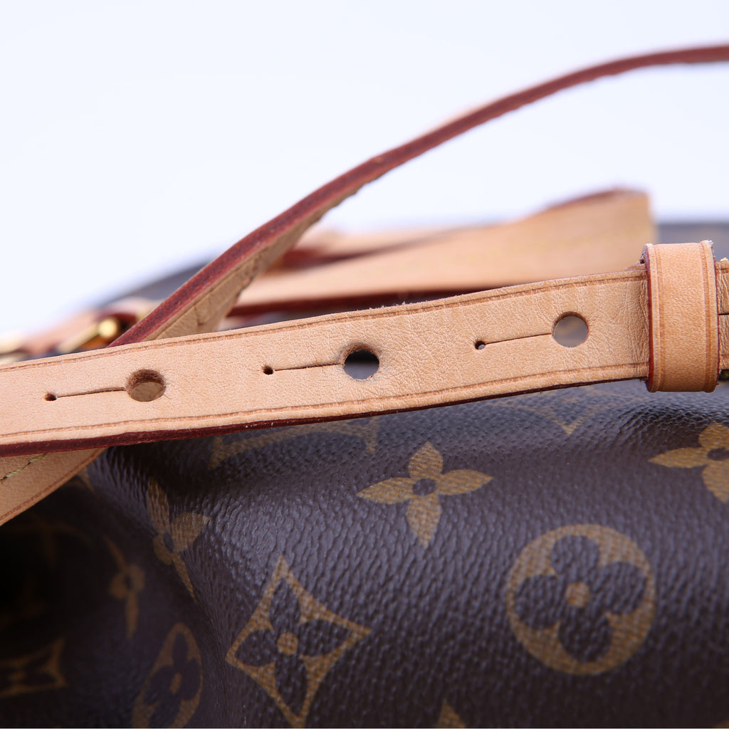 Louis Vuitton Montsouris NM Monogram