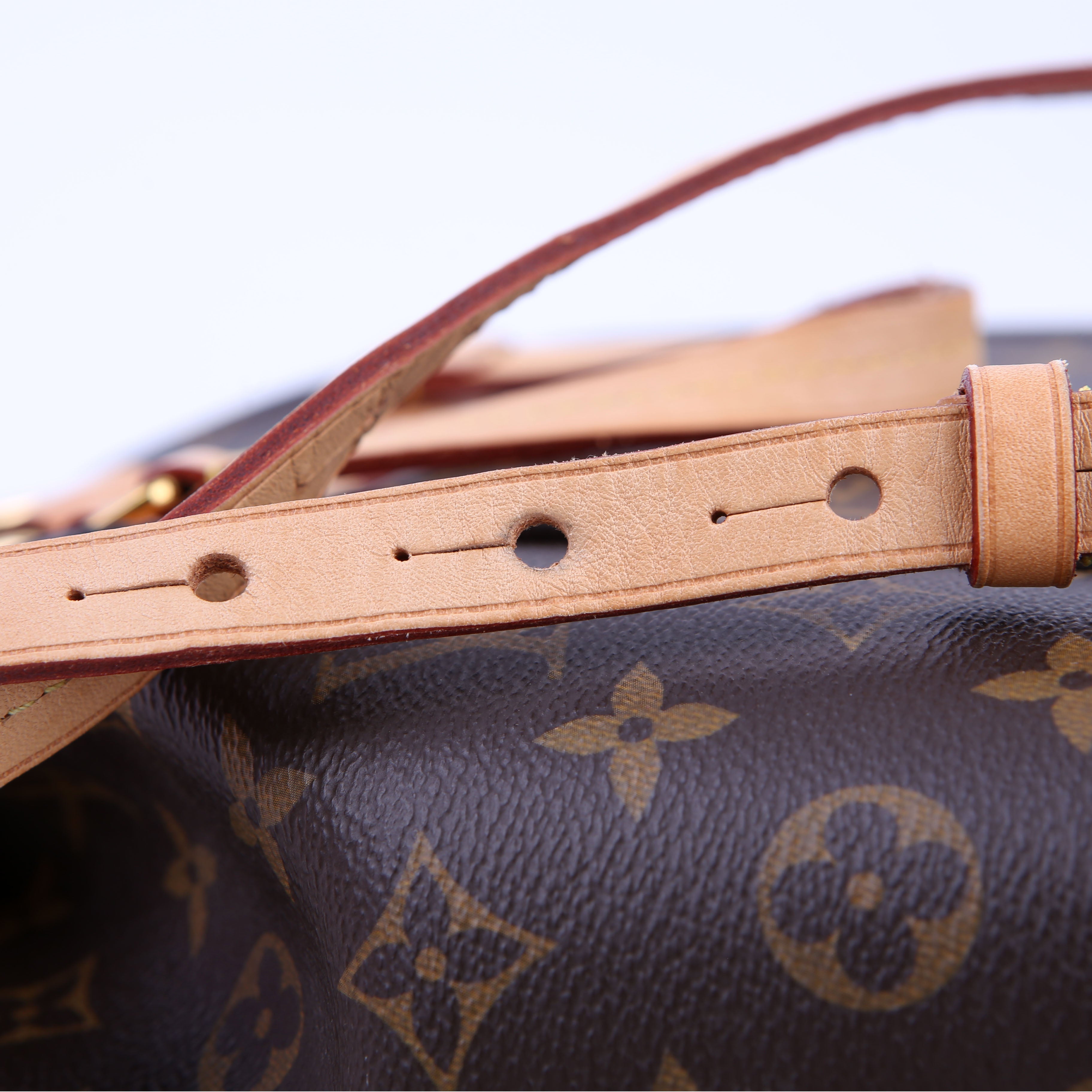 Louis Vuitton Montsouris NM Monogram