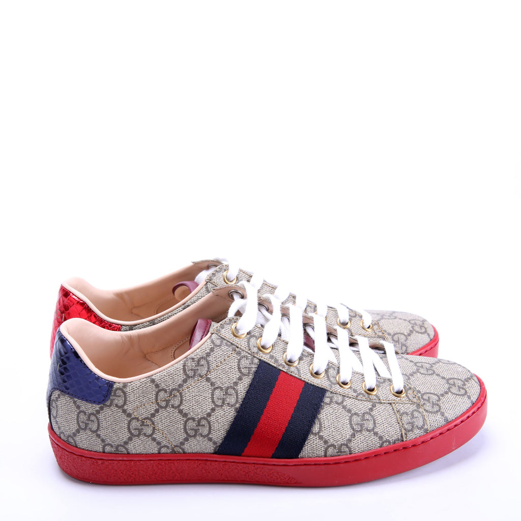 Gucci Ace Web Sneakers size 36 Red/Blue/Beige