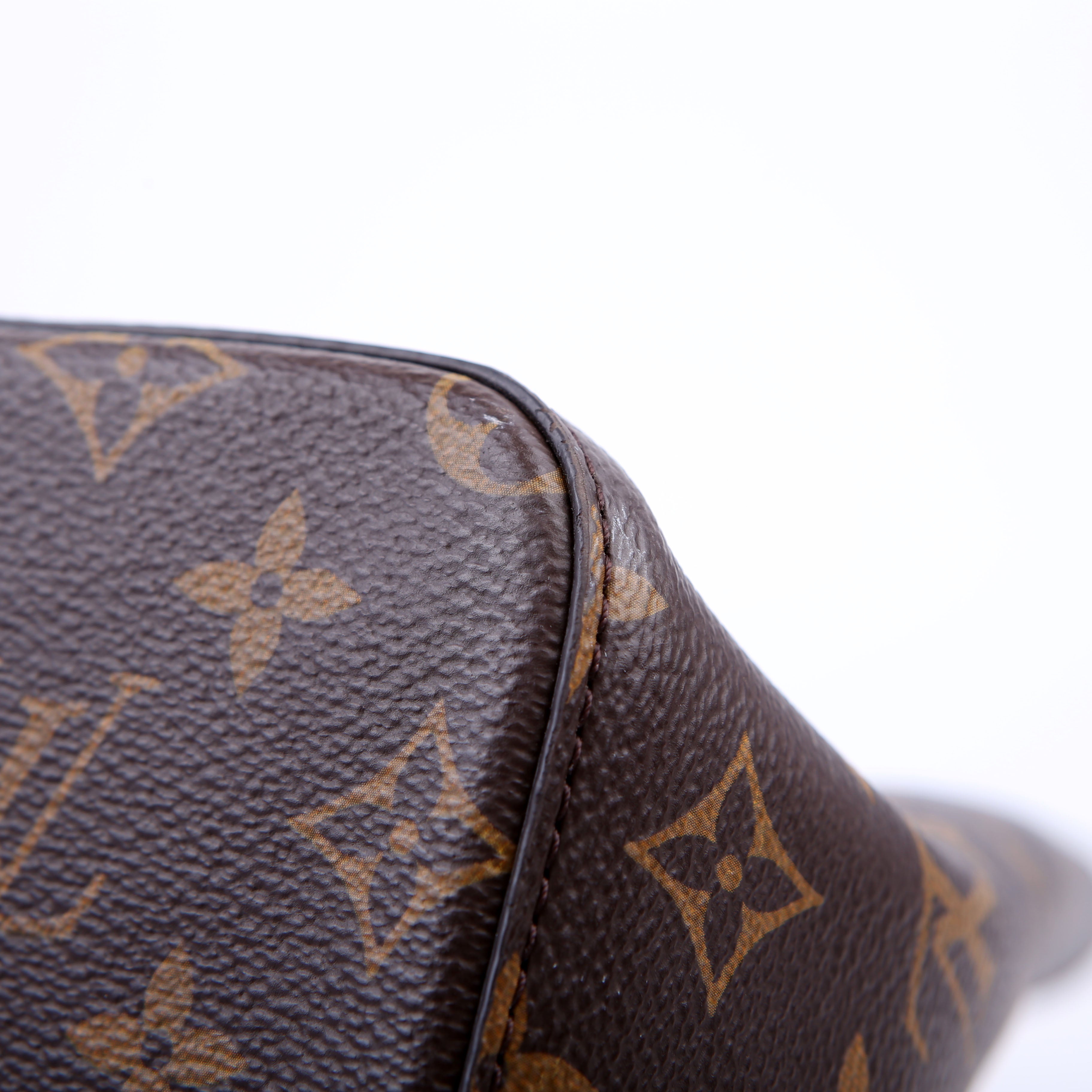 Louis Vuitton Neonoe Monogram Red