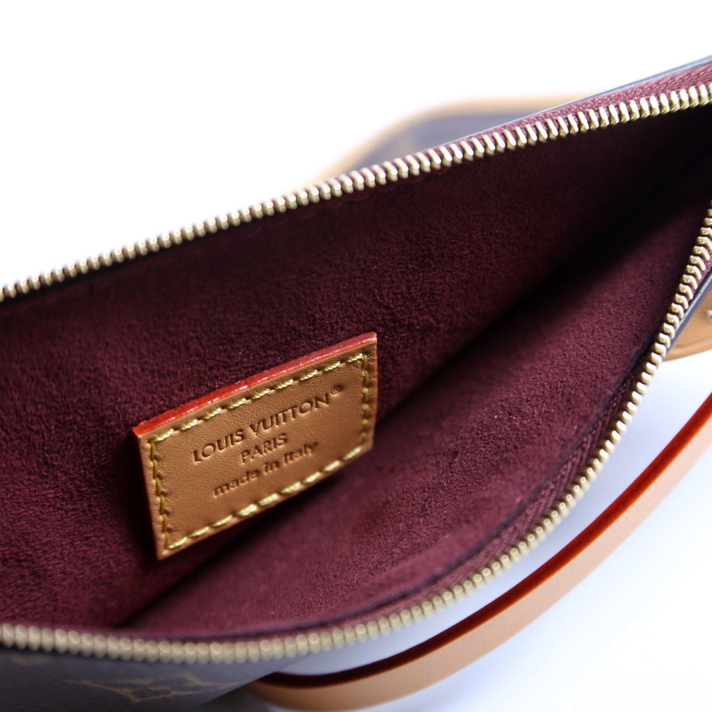 Louis Vuitton Pochette Only Carryall PM Monogram